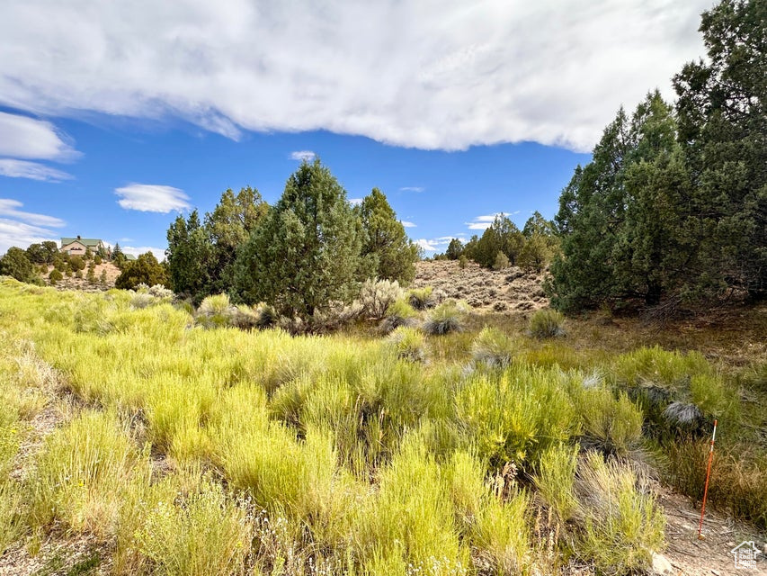 PAUNSAUGUNT CLIFFS SUBDIVISION - Land