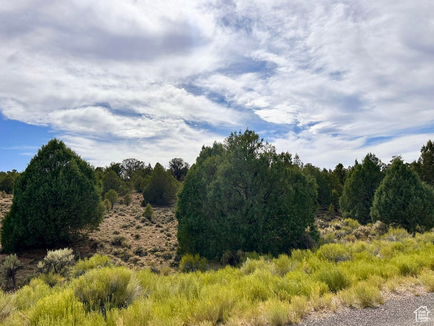 PAUNSAUGUNT CLIFFS SUBDIVISION - Land