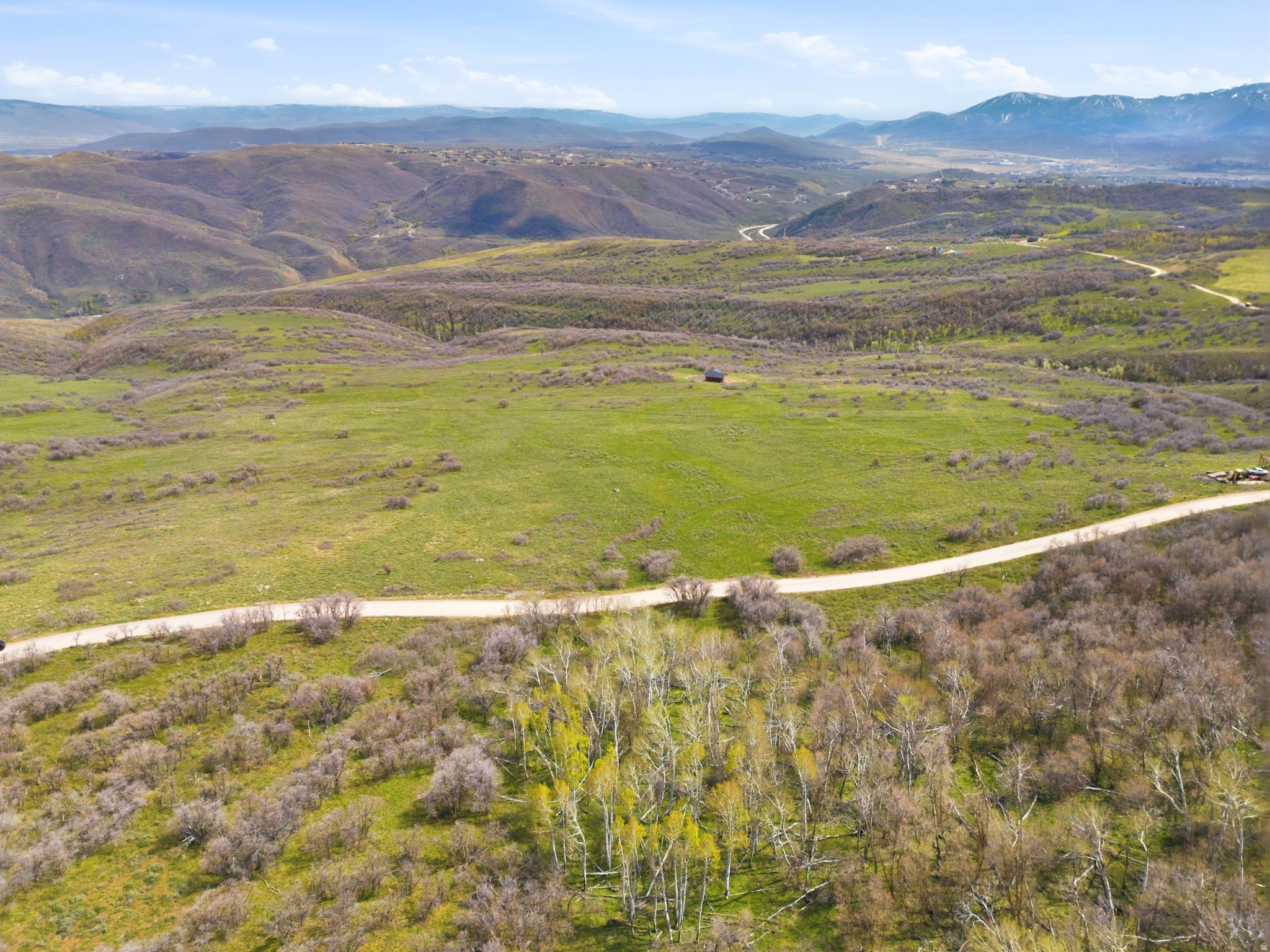 FOREST MEADOWS - Land