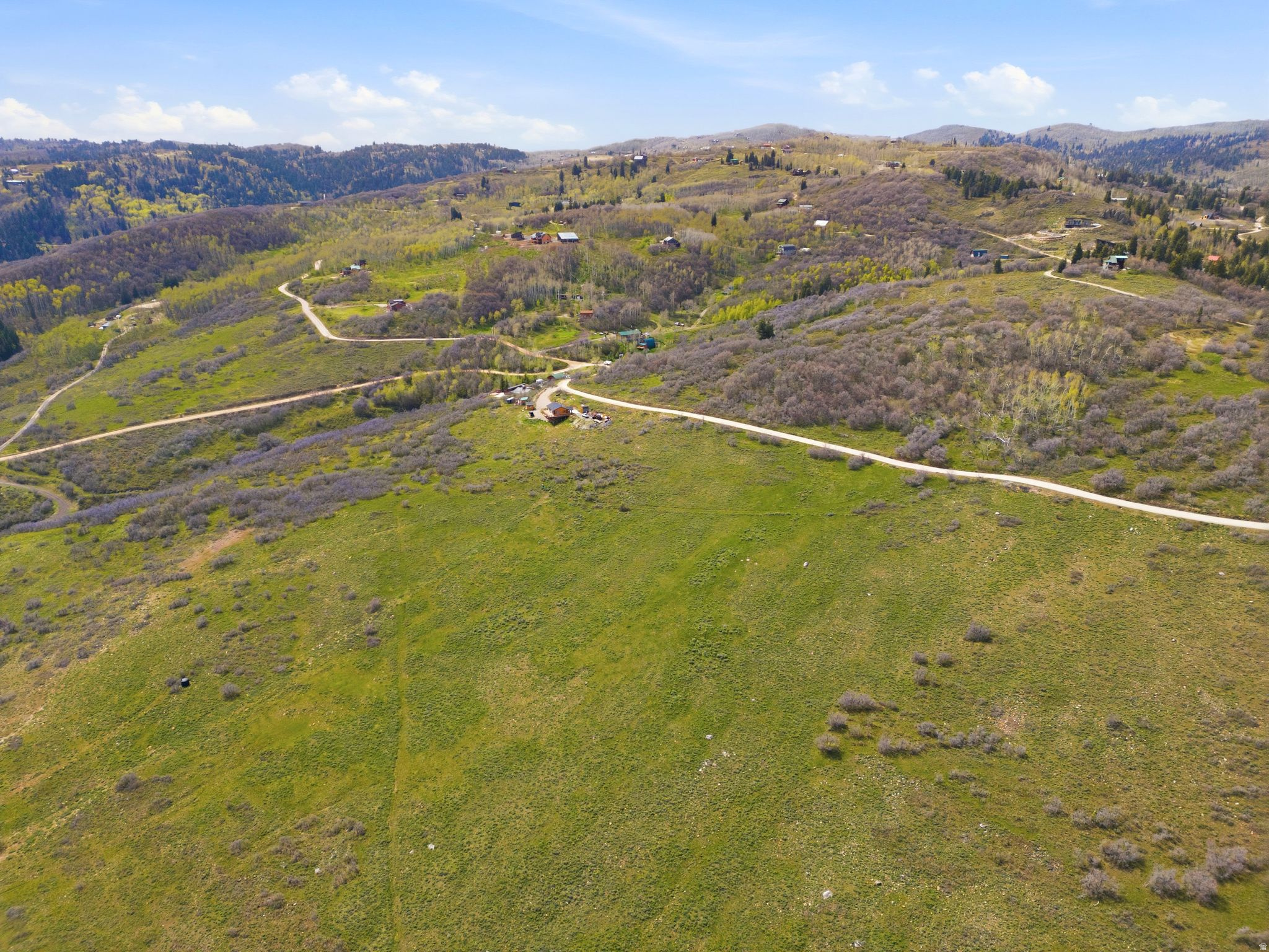 FOREST MEADOWS - Land