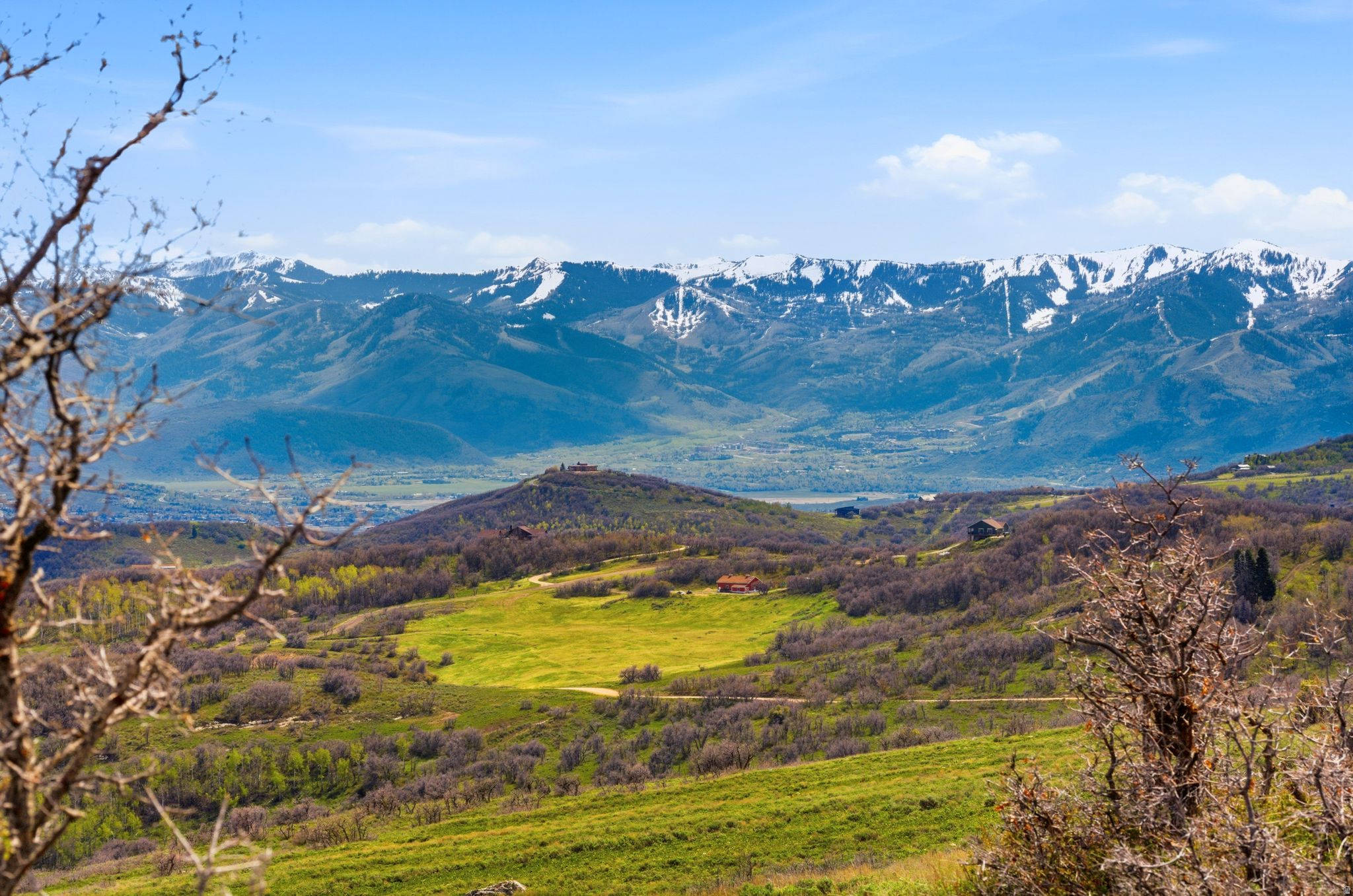 FOREST MEADOWS - Land