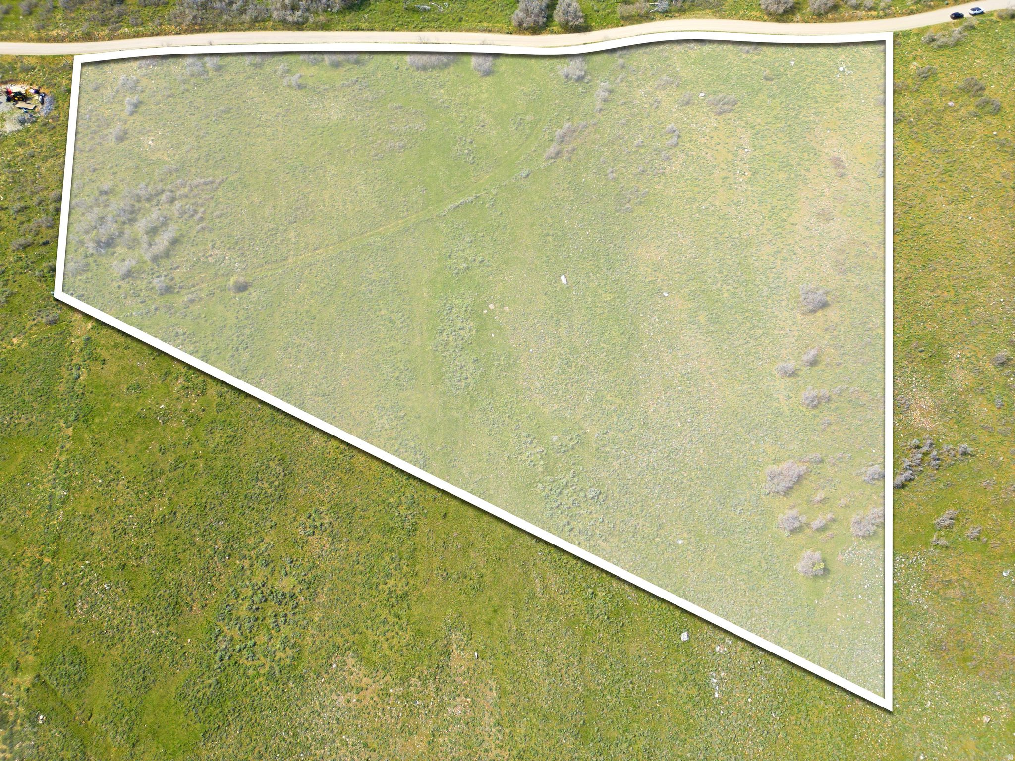 FOREST MEADOWS - Land