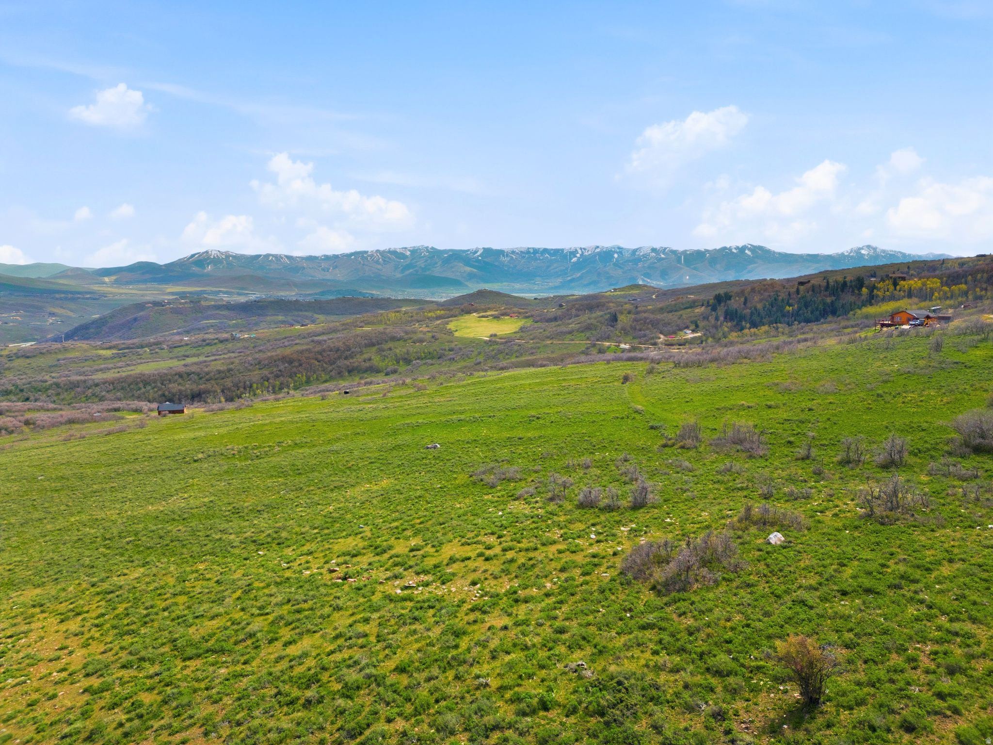FOREST MEADOWS - Land