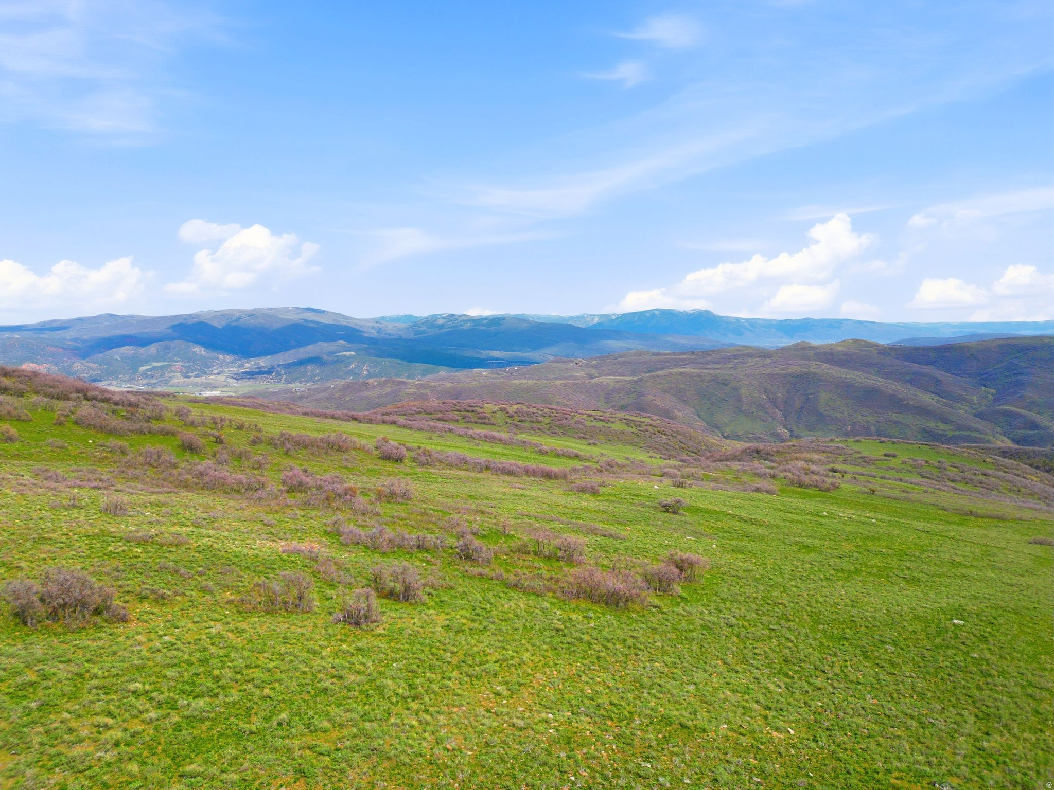 FOREST MEADOWS - Land