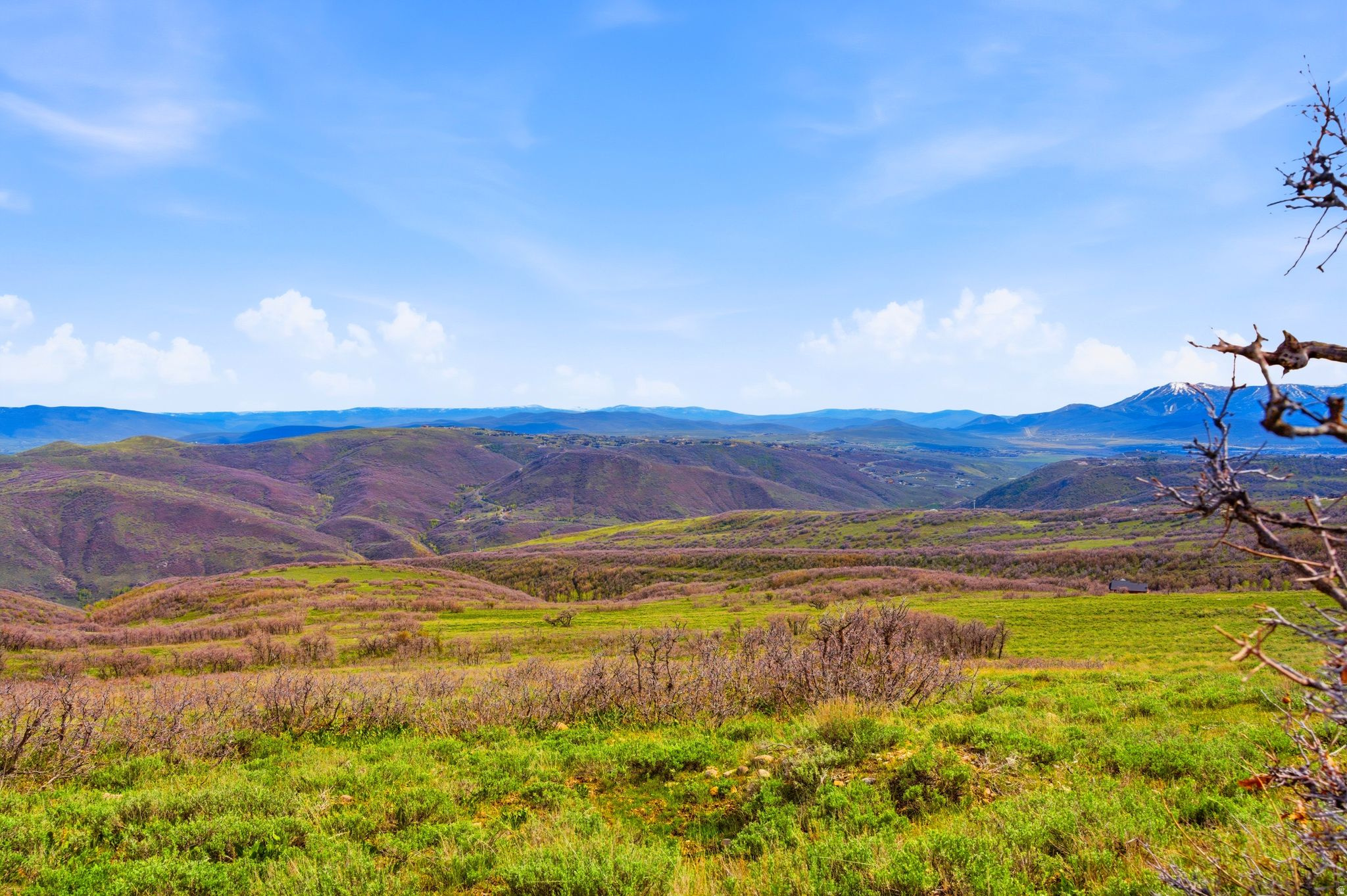 FOREST MEADOWS - Land