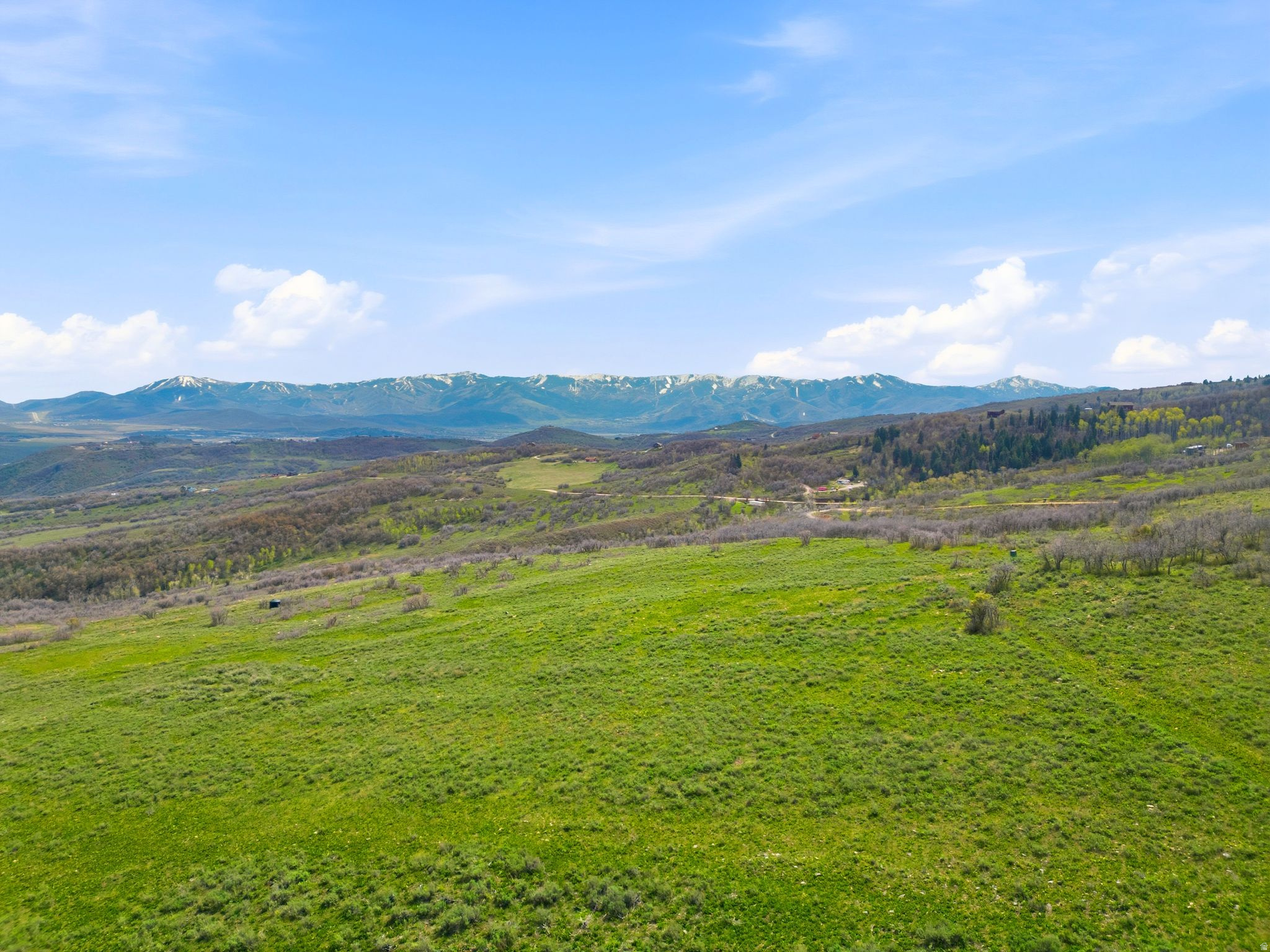 FOREST MEADOWS - Land