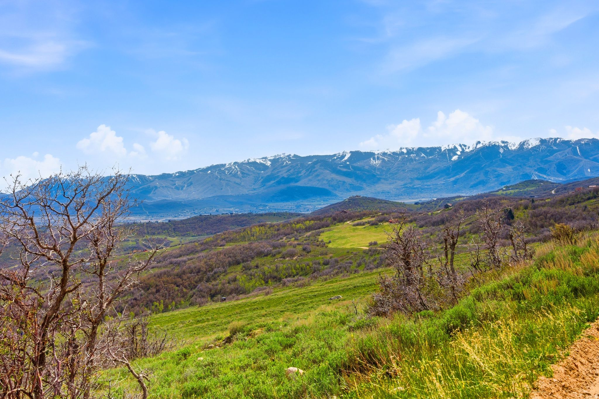 FOREST MEADOWS - Land