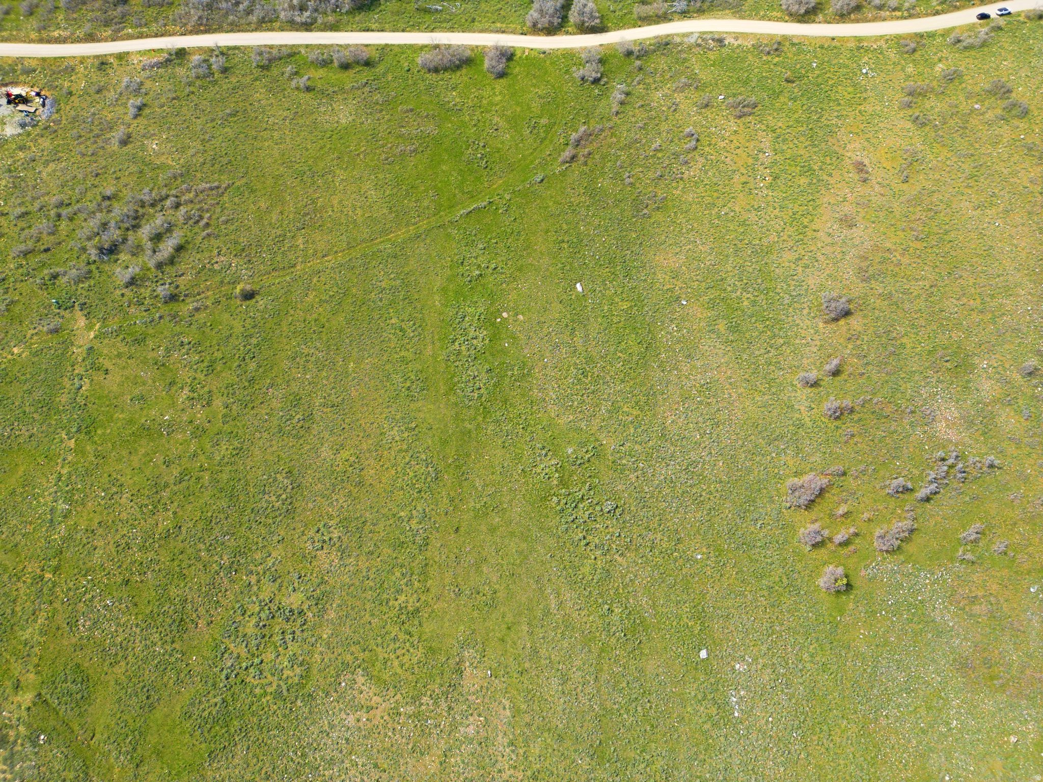 FOREST MEADOWS - Land