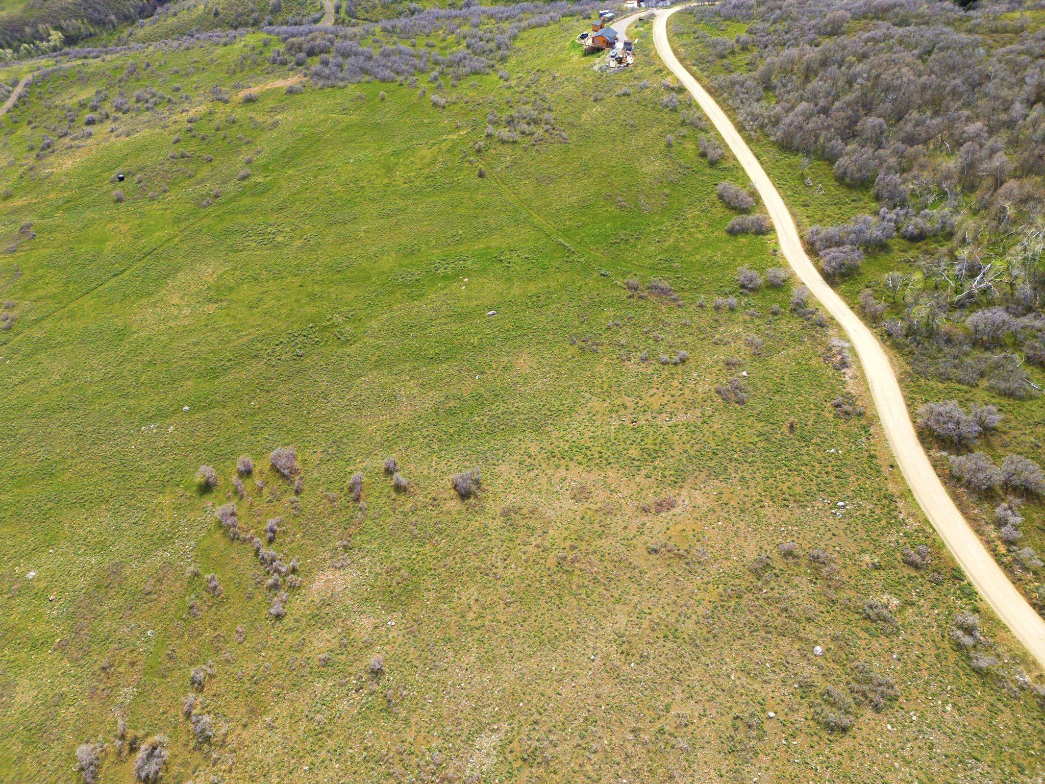 FOREST MEADOWS - Land
