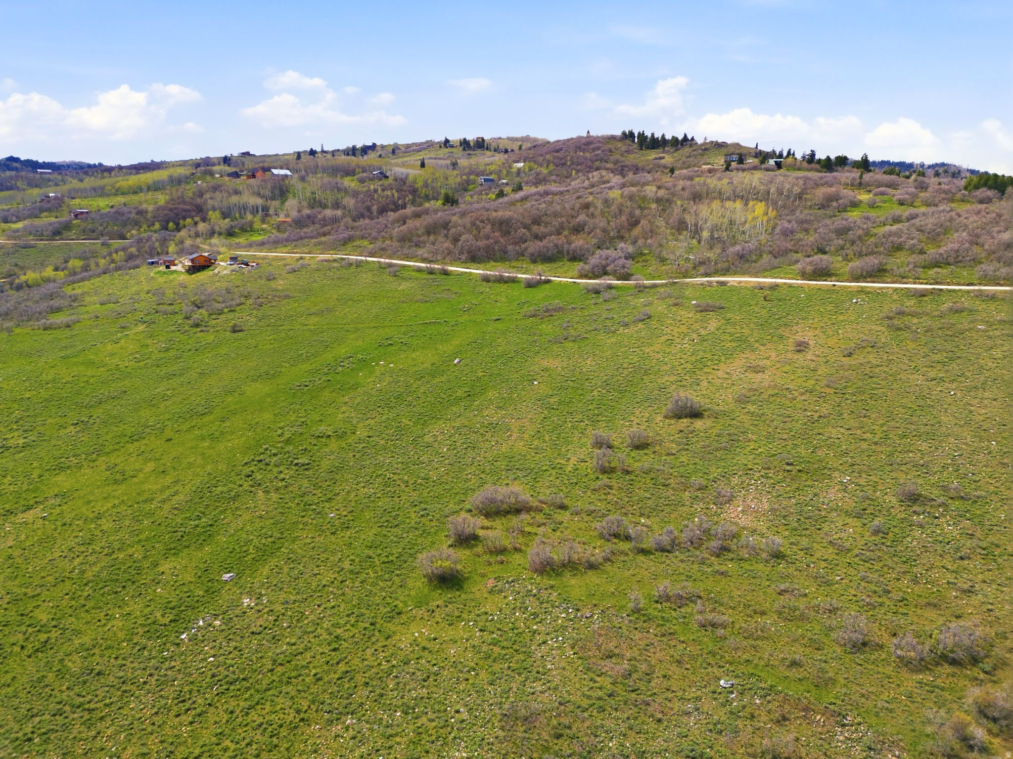 FOREST MEADOWS - Land
