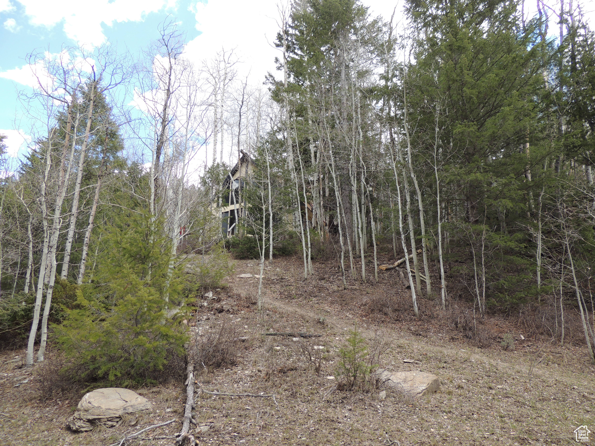 Land, Duchesne, Utah image 12