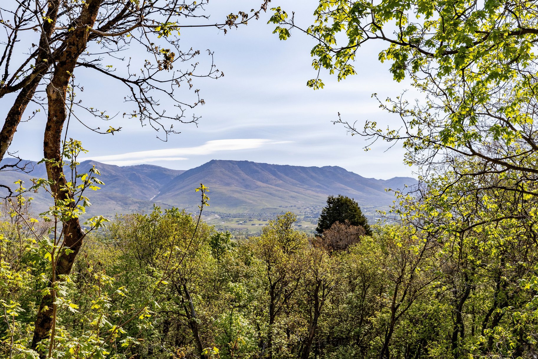 SPRING MOUNTAIN RANCHETTES - Residential