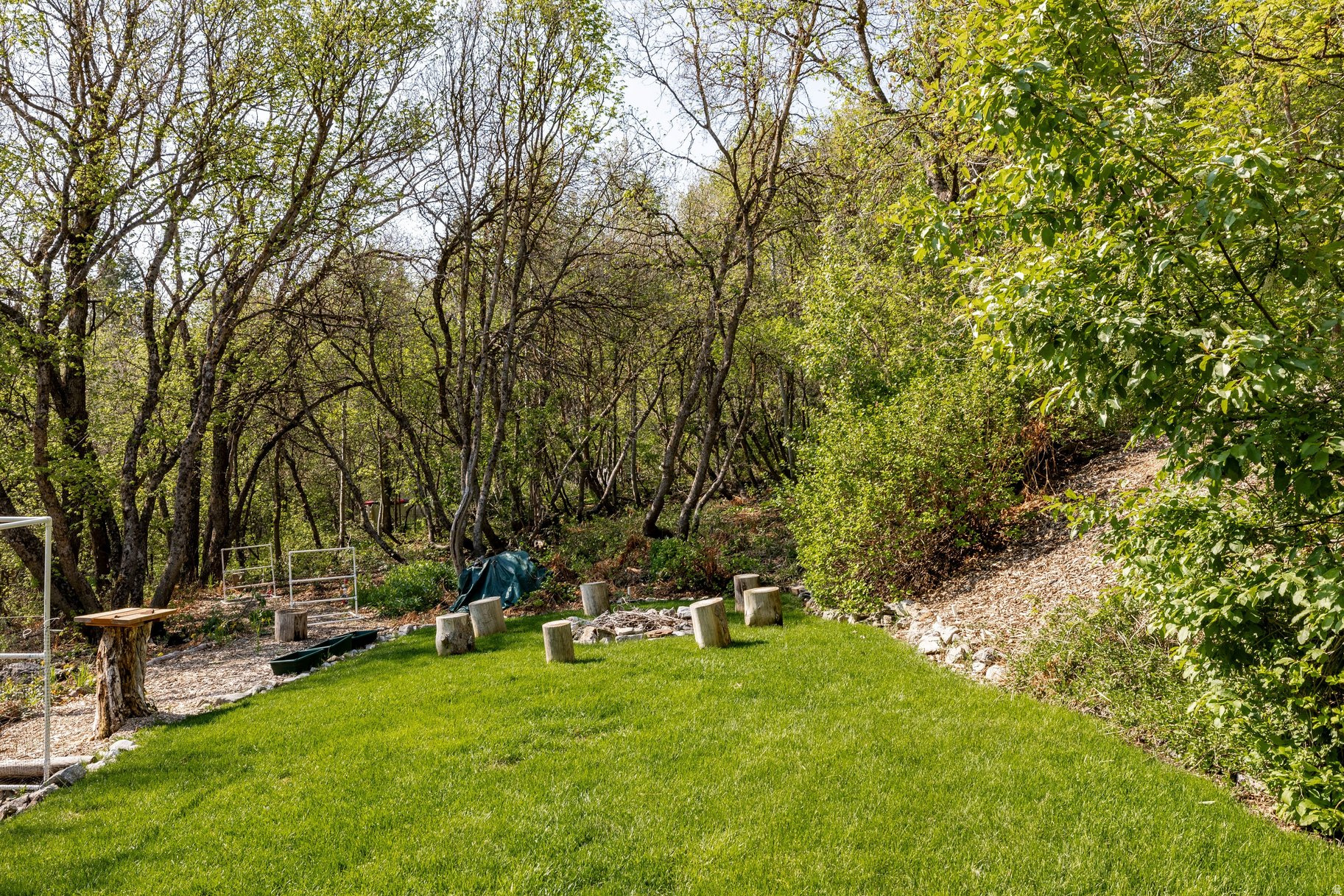 SPRING MOUNTAIN RANCHETTES - Residential