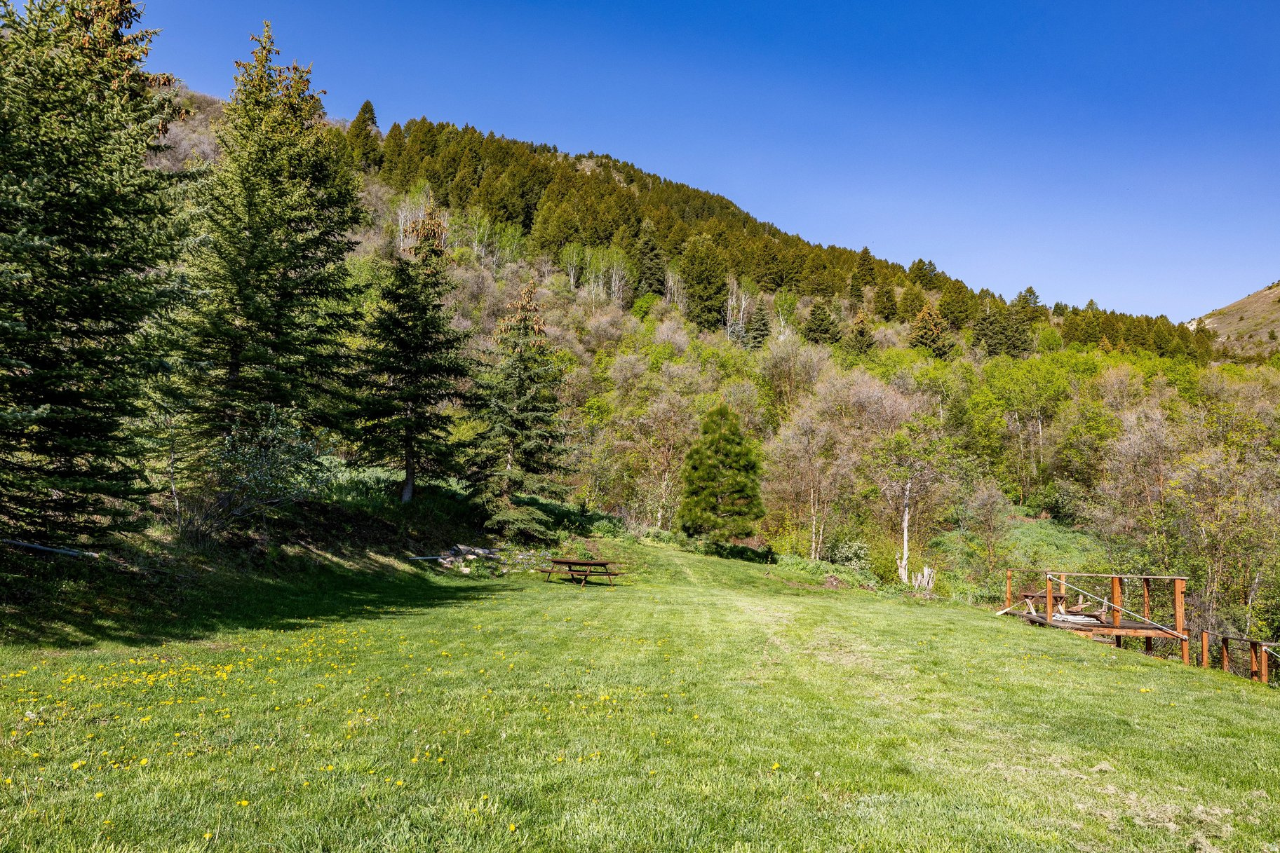 SPRING MOUNTAIN RANCHETTES - Residential