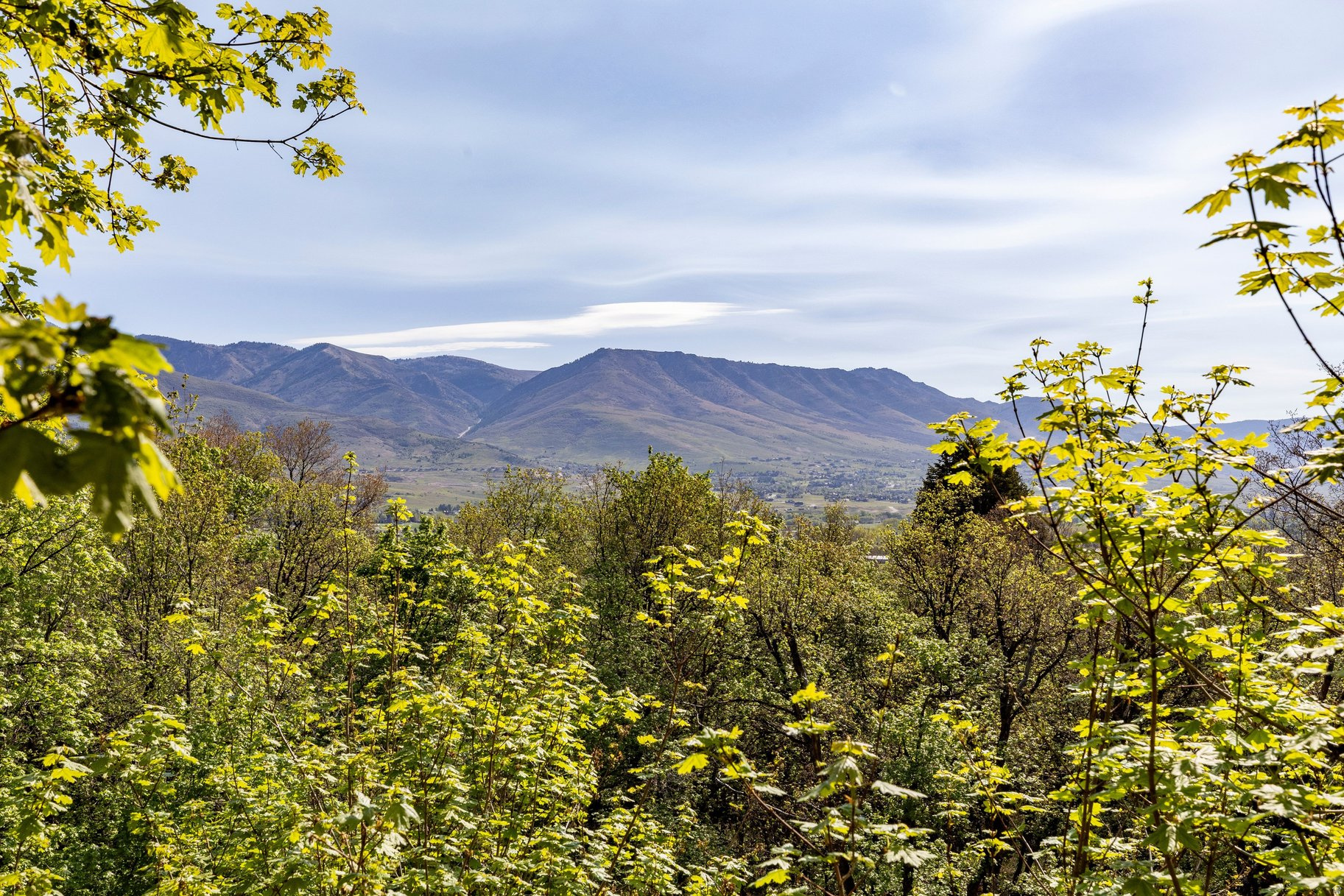 SPRING MOUNTAIN RANCHETTES - Residential