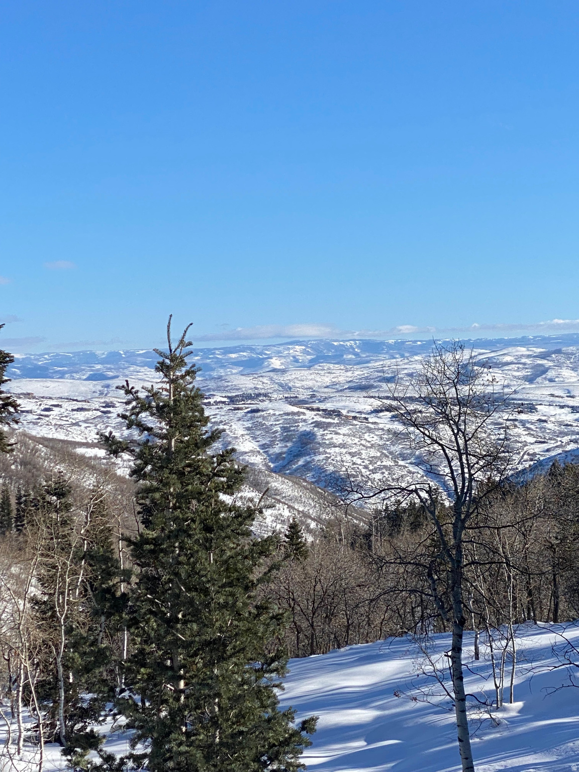 PINE MEADOW RANCH - Land