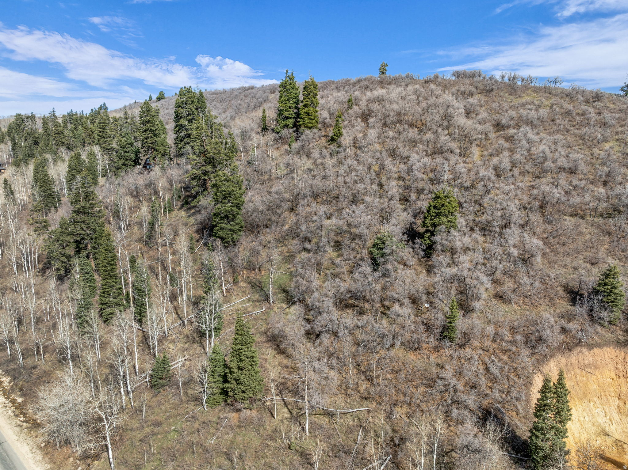 PINE MEADOW RANCH - Land
