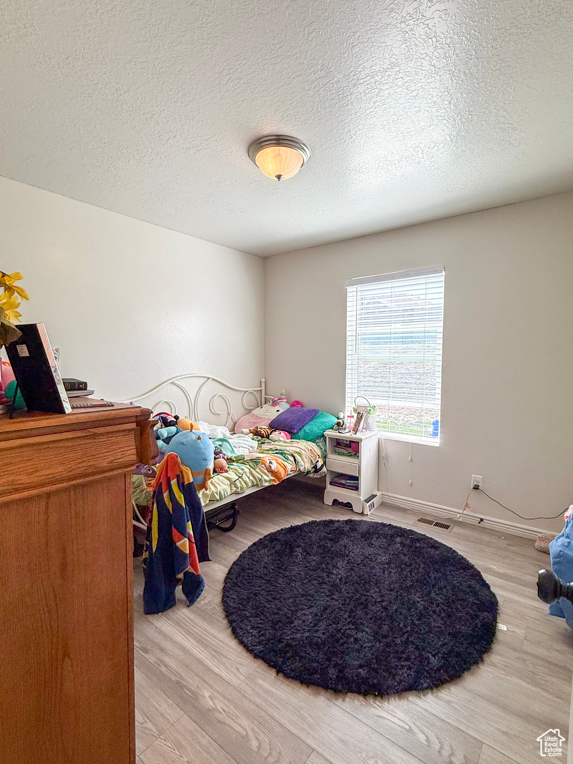 490 Firestone Dr, Santaquin, Utah image 12