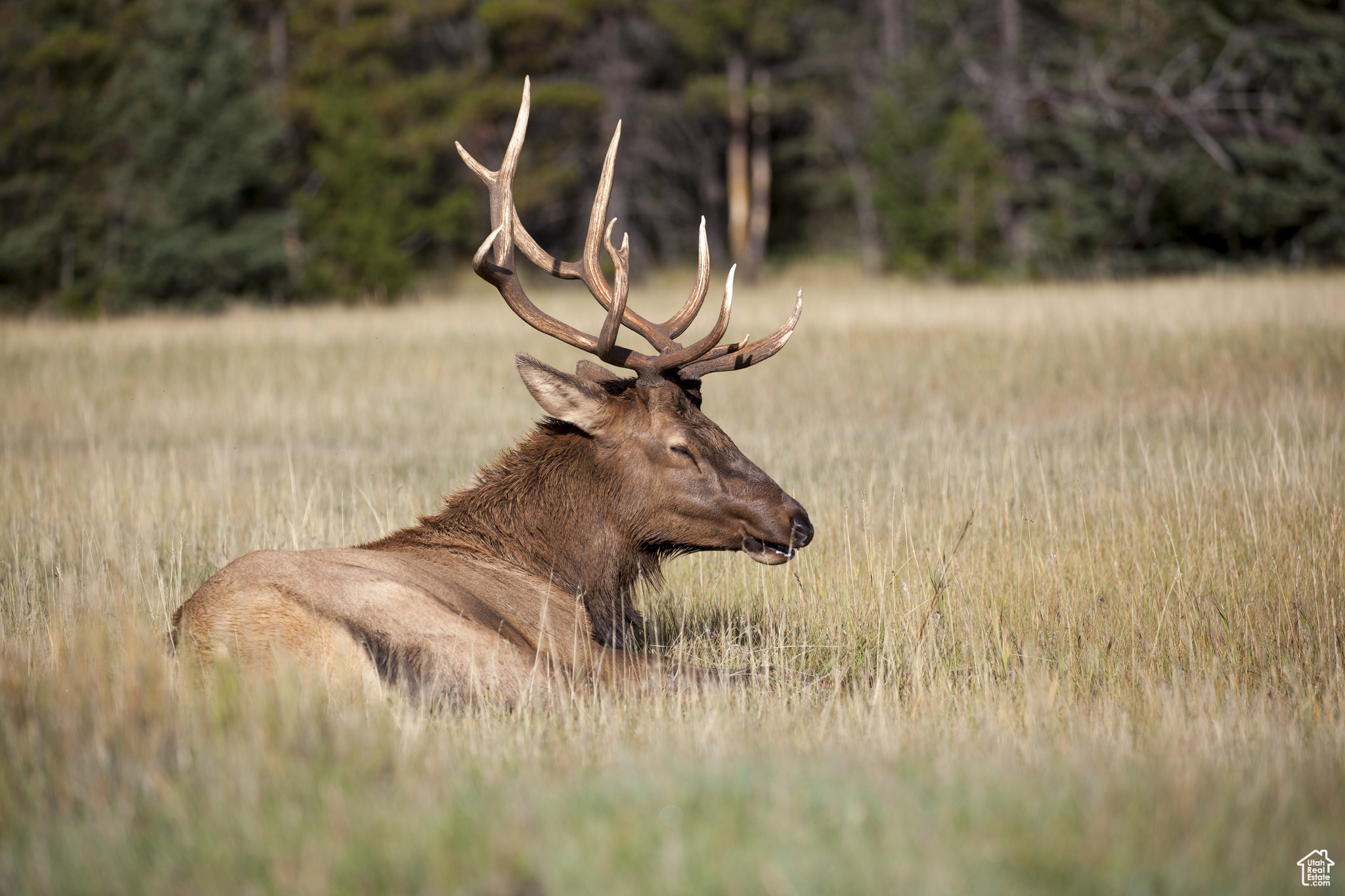 Land, Sunnyside, Utah image 12