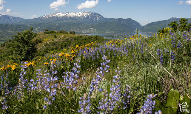 GREEN HILLS PHASE #6 - Land