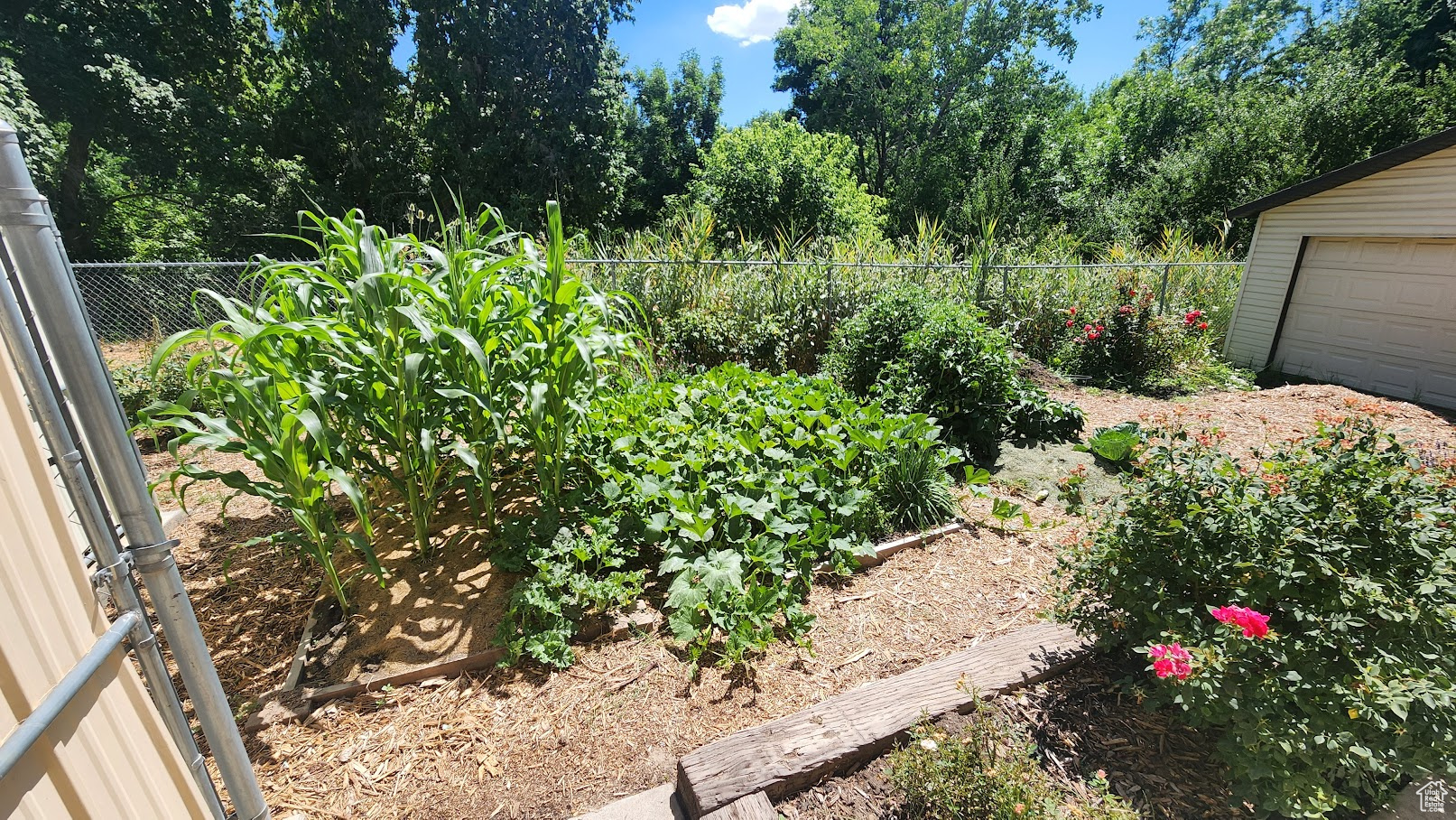 EAST LAYTON HILLS - Residential