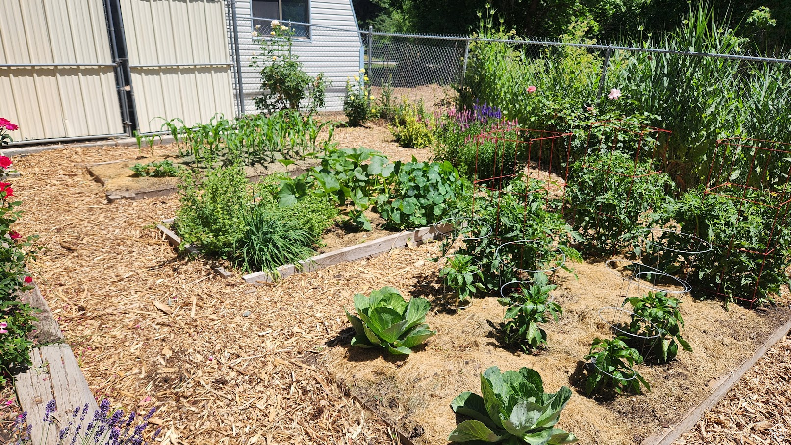 EAST LAYTON HILLS - Residential