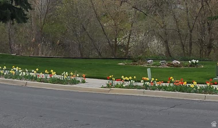 EAST LAYTON HILLS - Residential