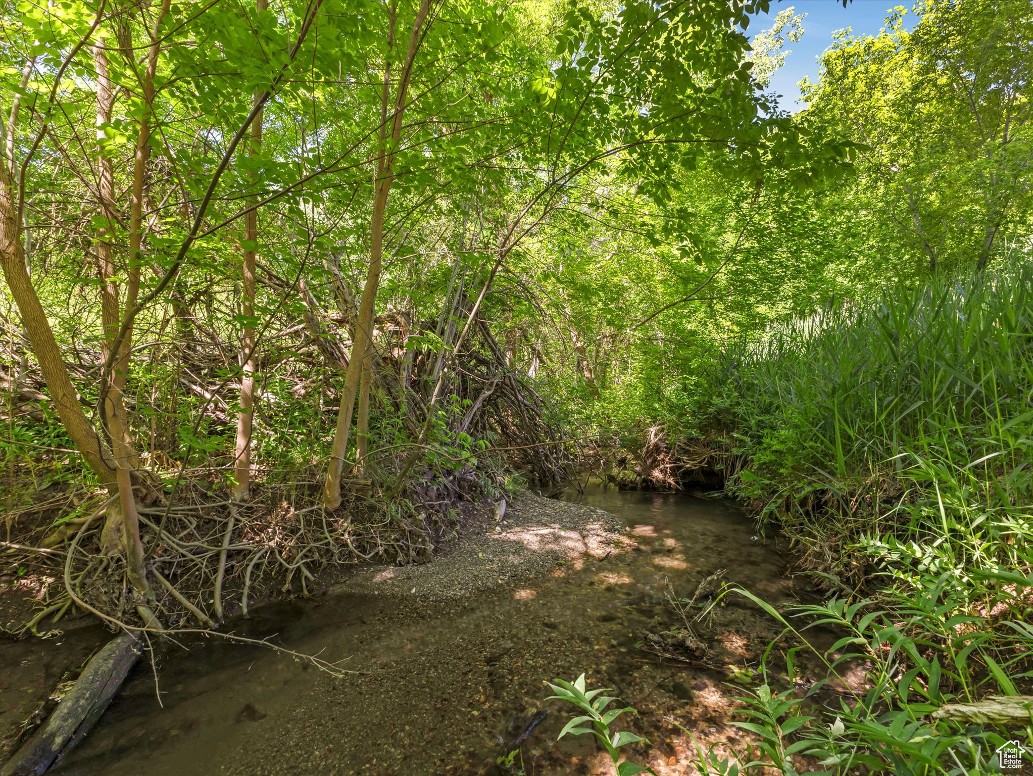 EAST LAYTON HILLS - Residential
