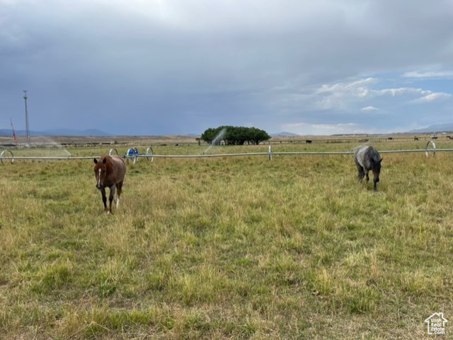 Land, Beaver, Utah image 17