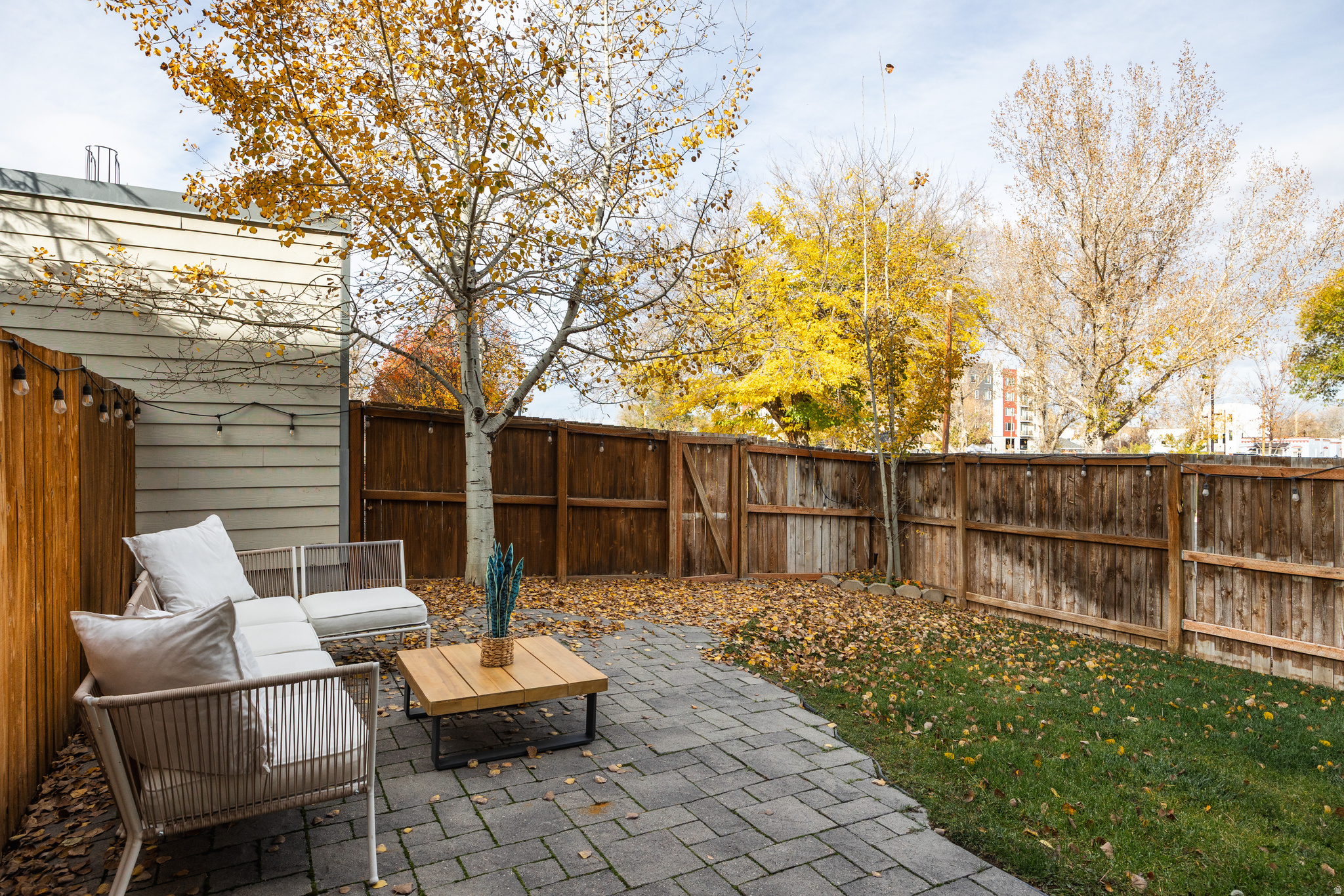 ROWHAUS - Residential