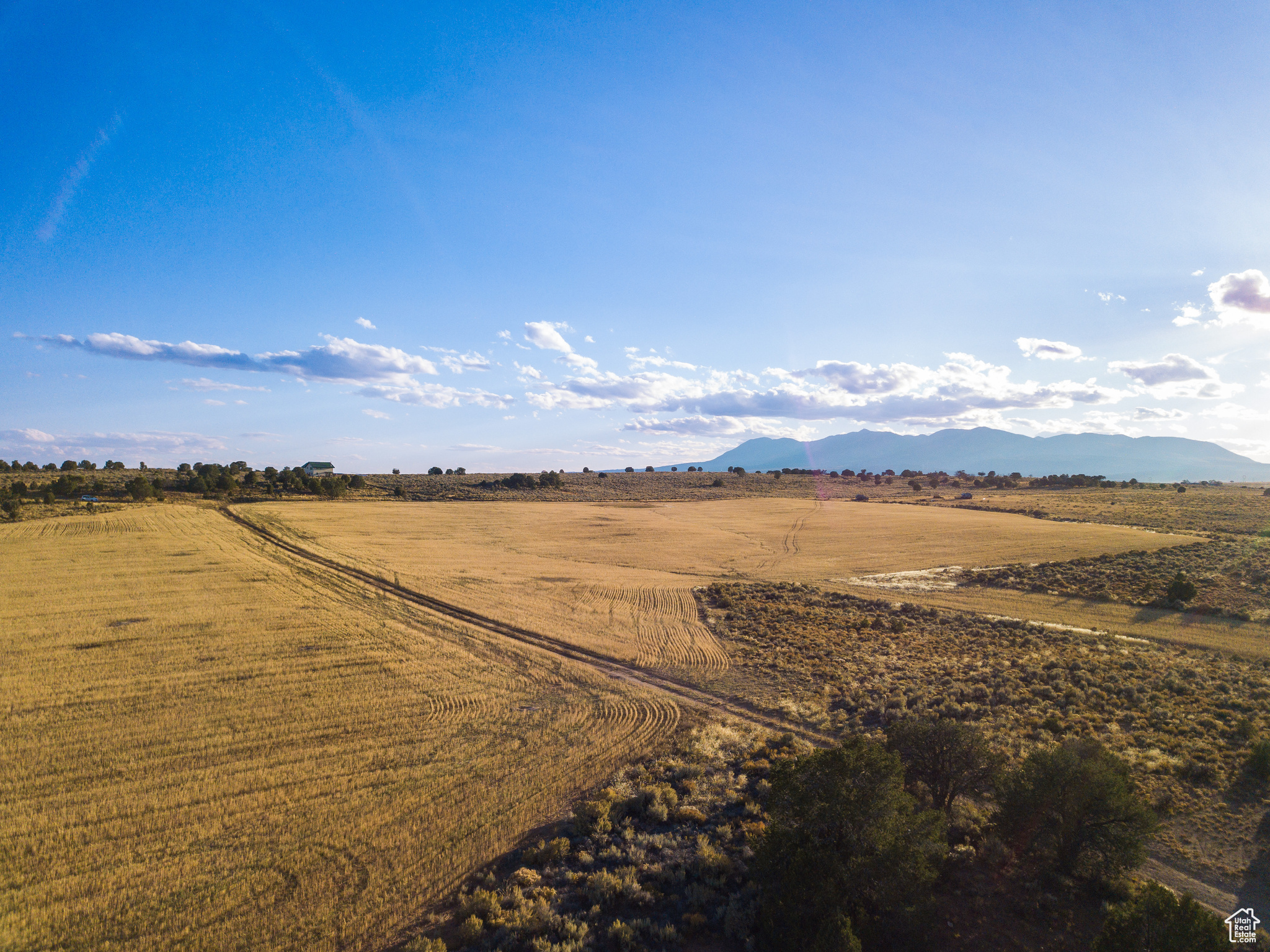 Land, Monticello, Utah image 6