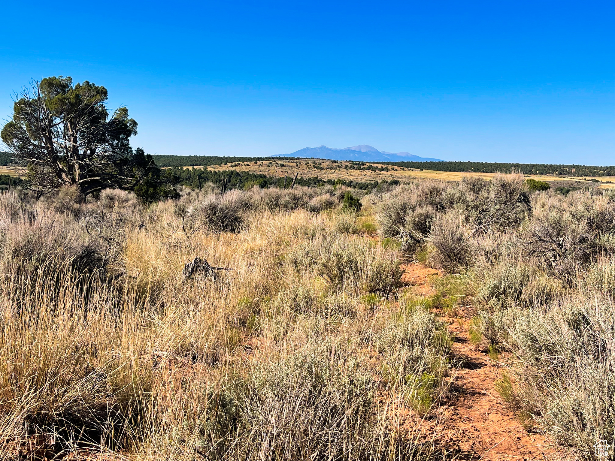 Land, Monticello, Utah image 9