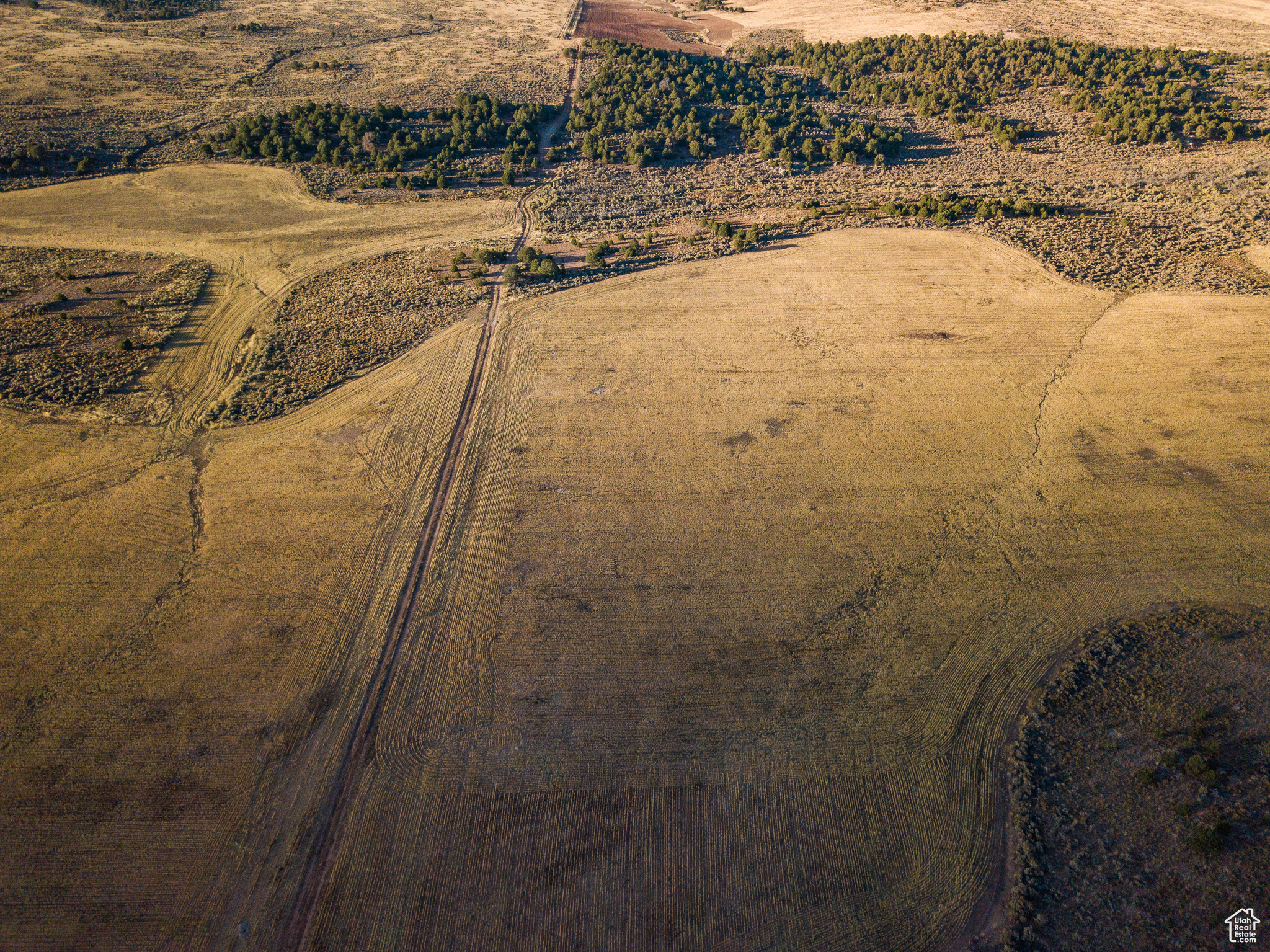 Land, Monticello, Utah image 7