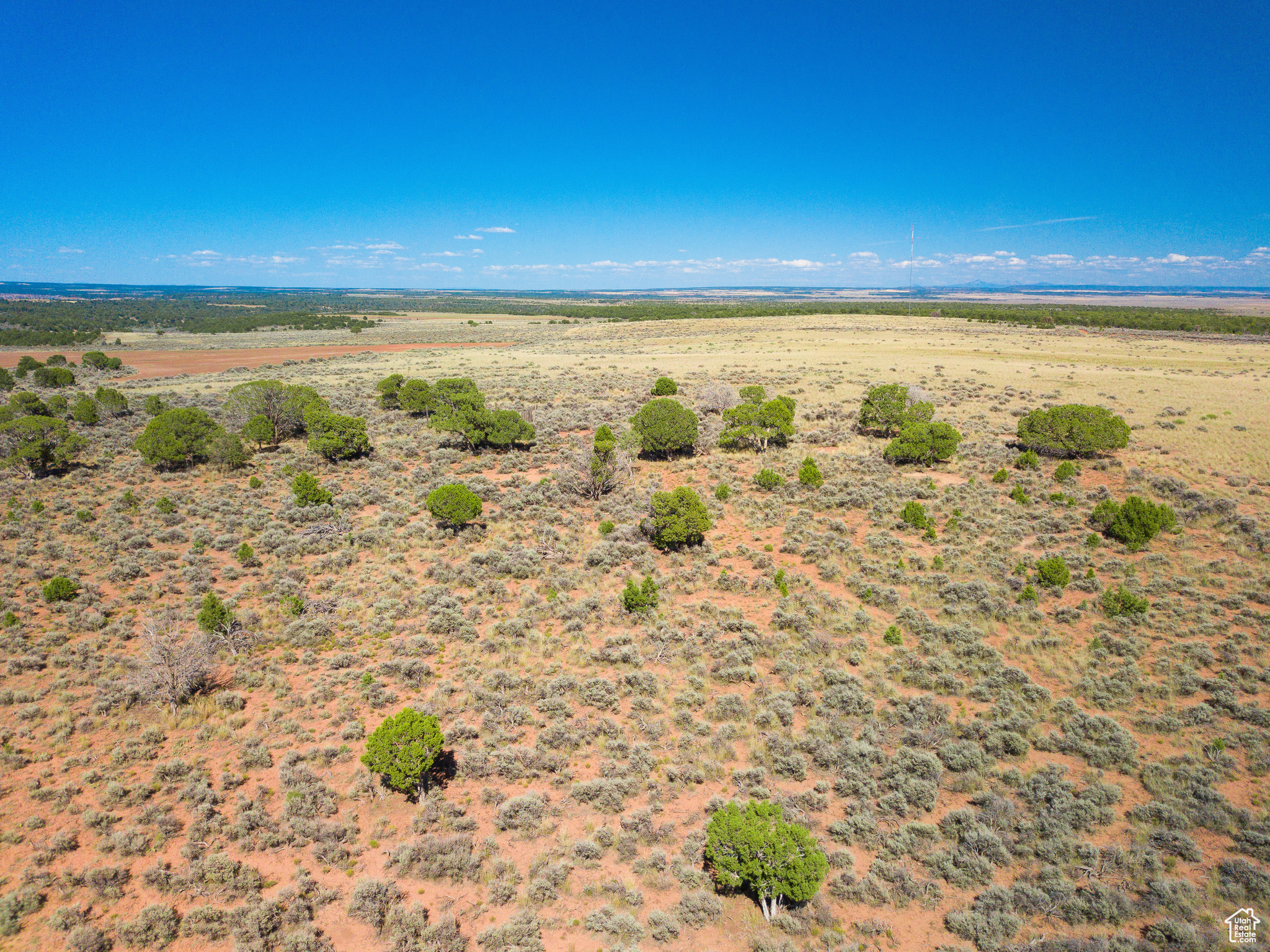 Land, Monticello, Utah image 26