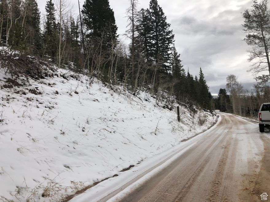 This is a heavily wooded sloped property.  It borders Forest Service Road 058 and backs up against the national forest  property.  It is about 3 miles east of Mirror Lake Highway near Bear River Lodge.  The property is on a slope but there are flat spots on the property.  It is going to require excavation work to build a driveway and a buildable area.  However, once this is done the building area will be very private and have incredible views.  The property is covered with mature pines and aspens and borders the national forest property along its entire east boundary.