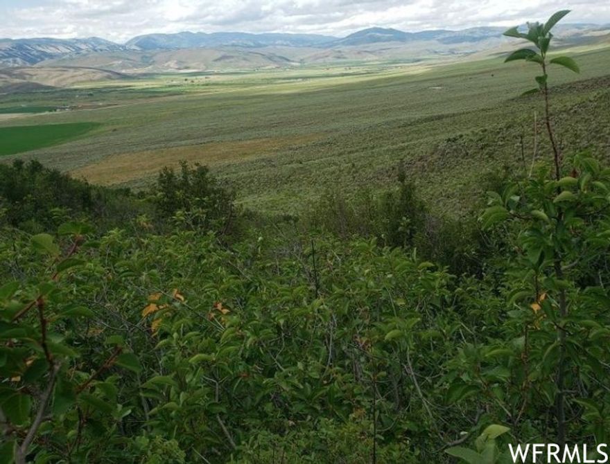 Ideal Wyoming acreage with room to roam. No restrictions and the 120 acre parcel can be divided into 3 parcels. Bring the whole family... or just enjoy the tranquility and the beautiful Raymond Mountains and the Geneva Valley. Located a short distance to Bear Lake and Star Valley. Build your dream home or your bug out cabin. Fantastic hunting! Sellers will consider selling in 40-80 acre parcels. Private Remarks:
