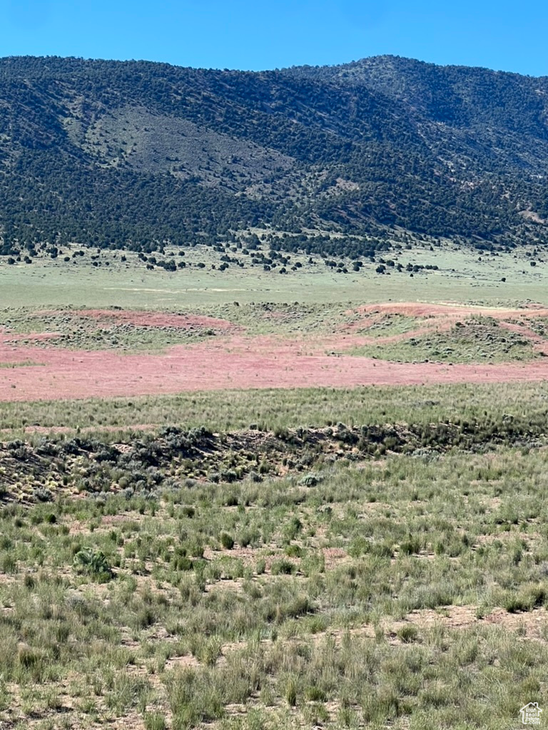 Land, Levan, Utah image 3