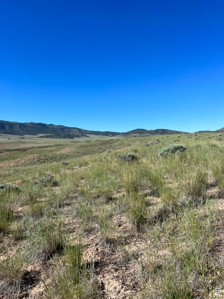 Land, Levan, Utah image 2