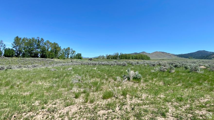 Are you looking for a quiet place to build your dream home or maybe a cabin for a weekend getaway with amazing views in every direction? This fantastic acreage property features 14.63 acres only 30 minutes from World Famous Lava Hot Springs and 2 hours from Salt Lake City. A gravel driveway and perimeter fencing have already been installed on the property. Take a look today!