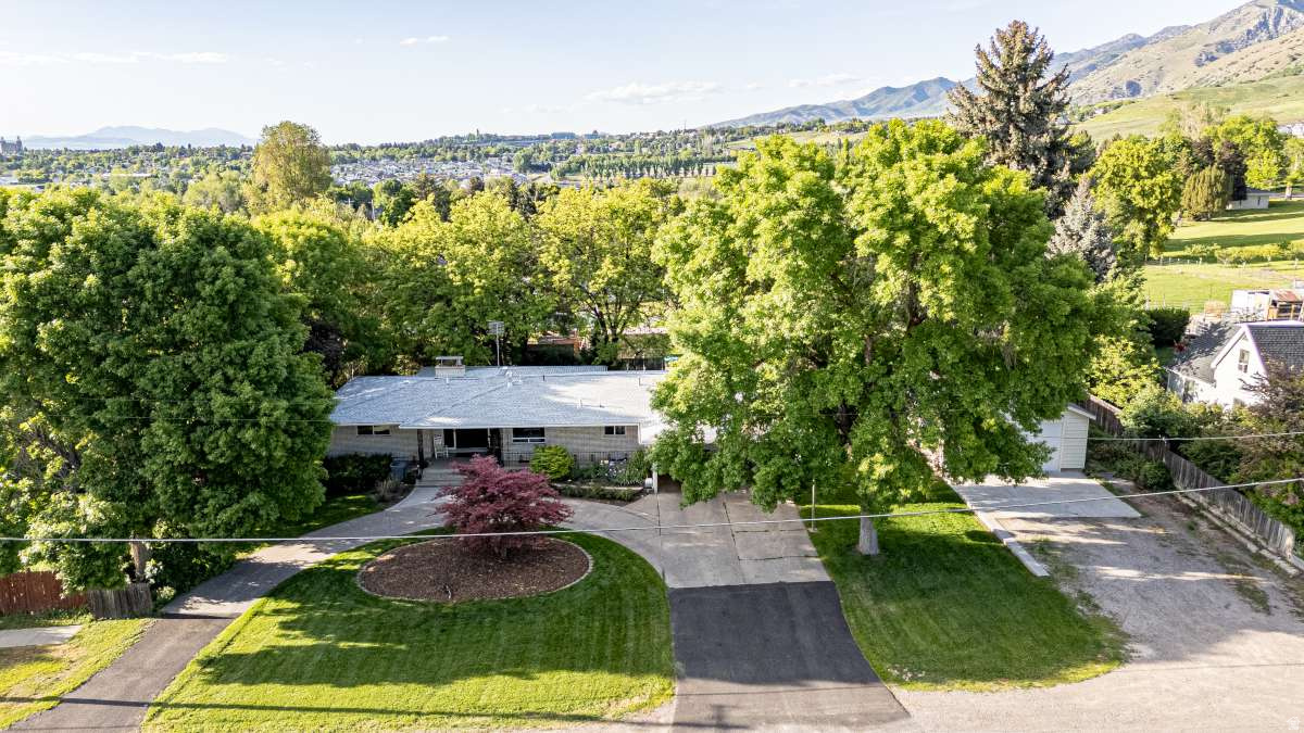 SPRING CREEK HOLLOW - Residential