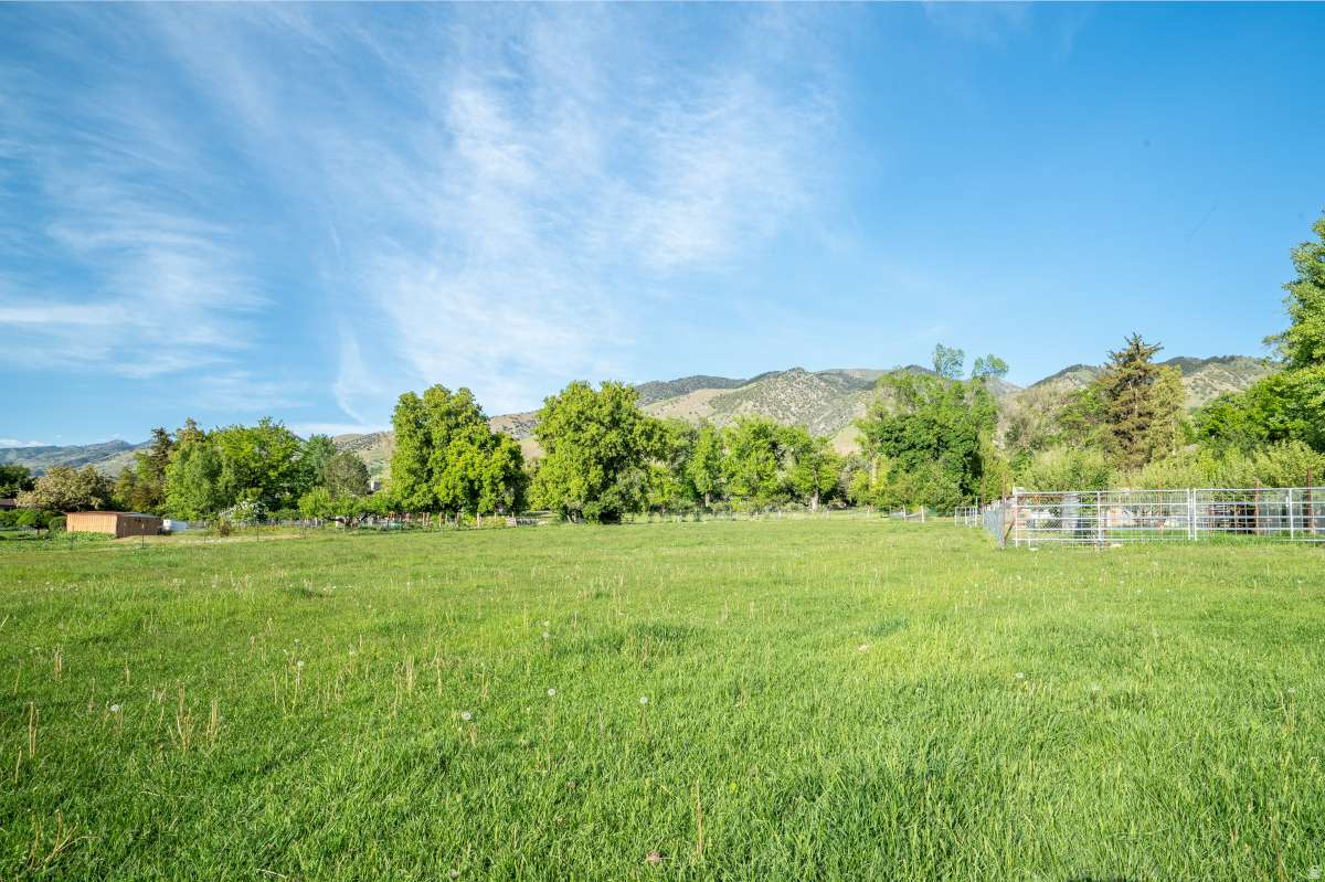 SPRING CREEK HOLLOW - Residential