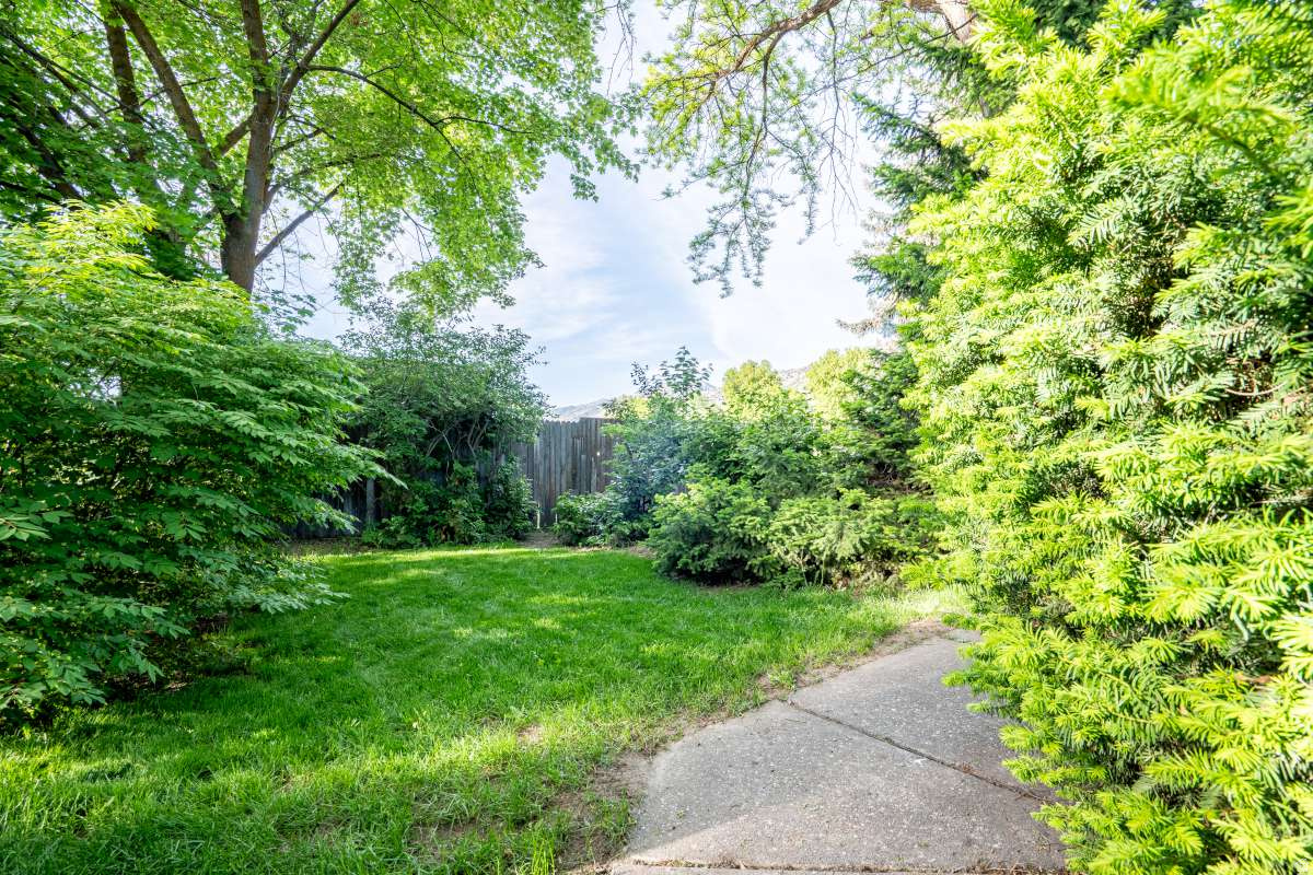 SPRING CREEK HOLLOW - Residential