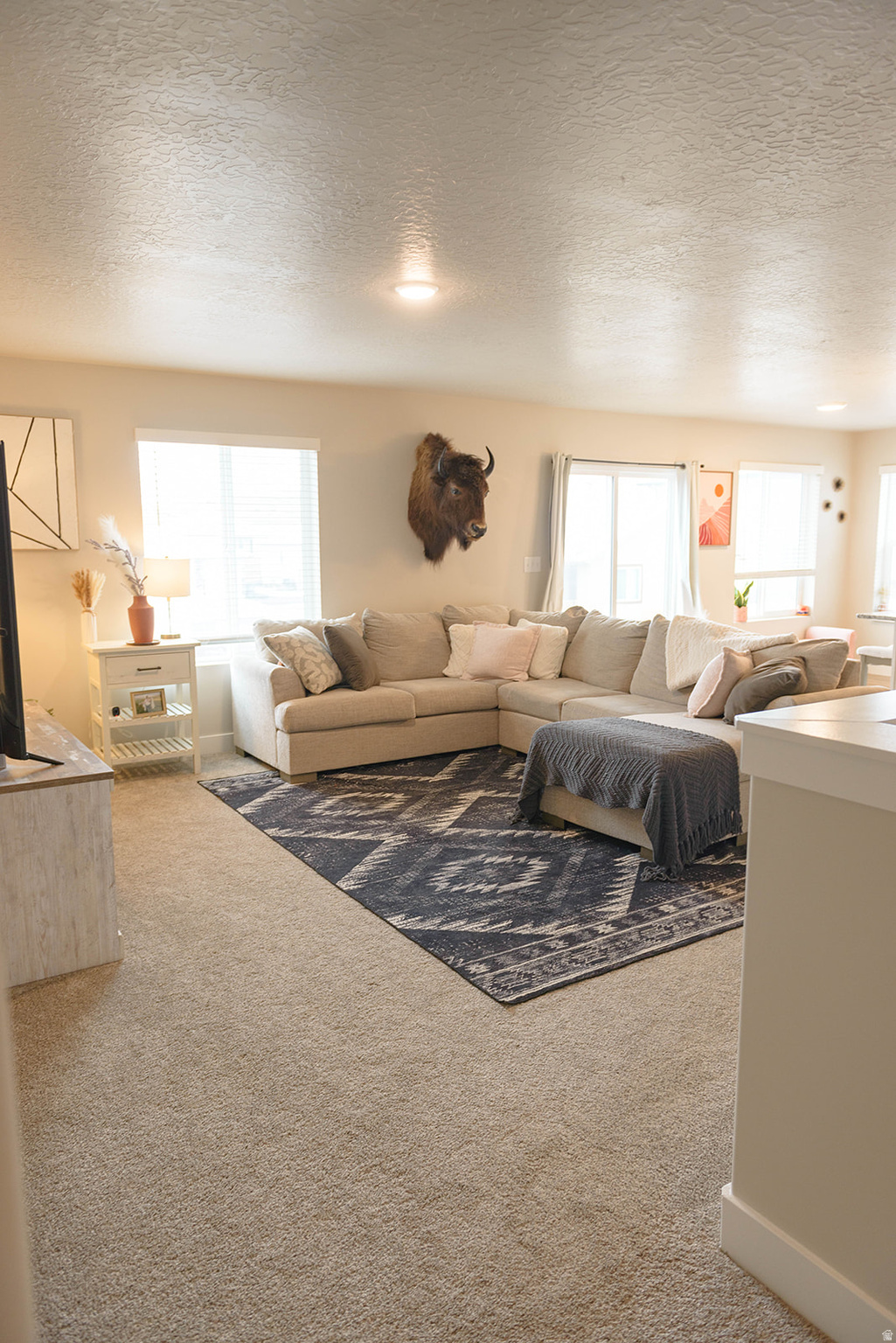 THE HILLS AT SUMMIT RIDGE - Residential