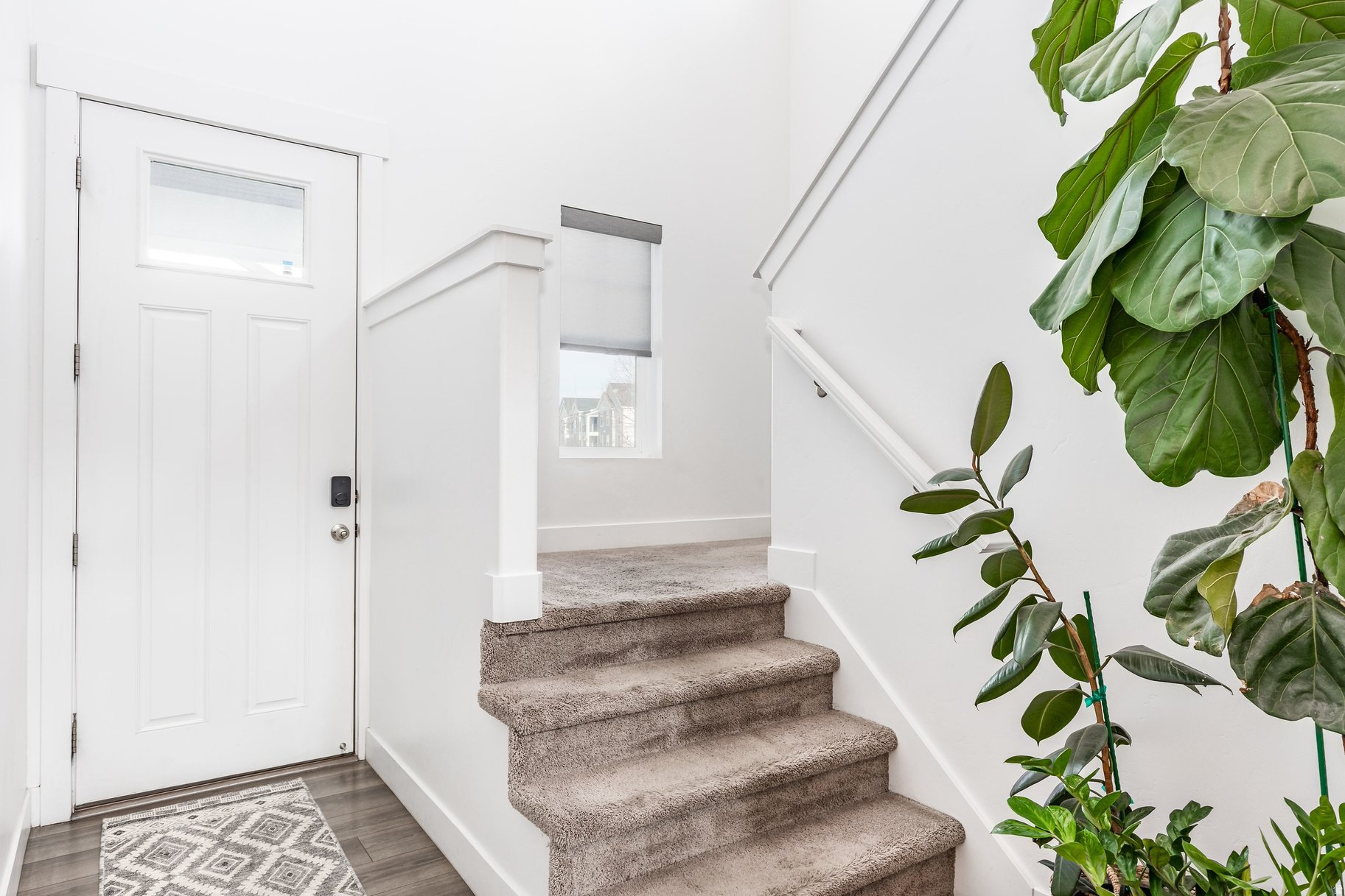 SPRINGS WATER EDGE - Residential