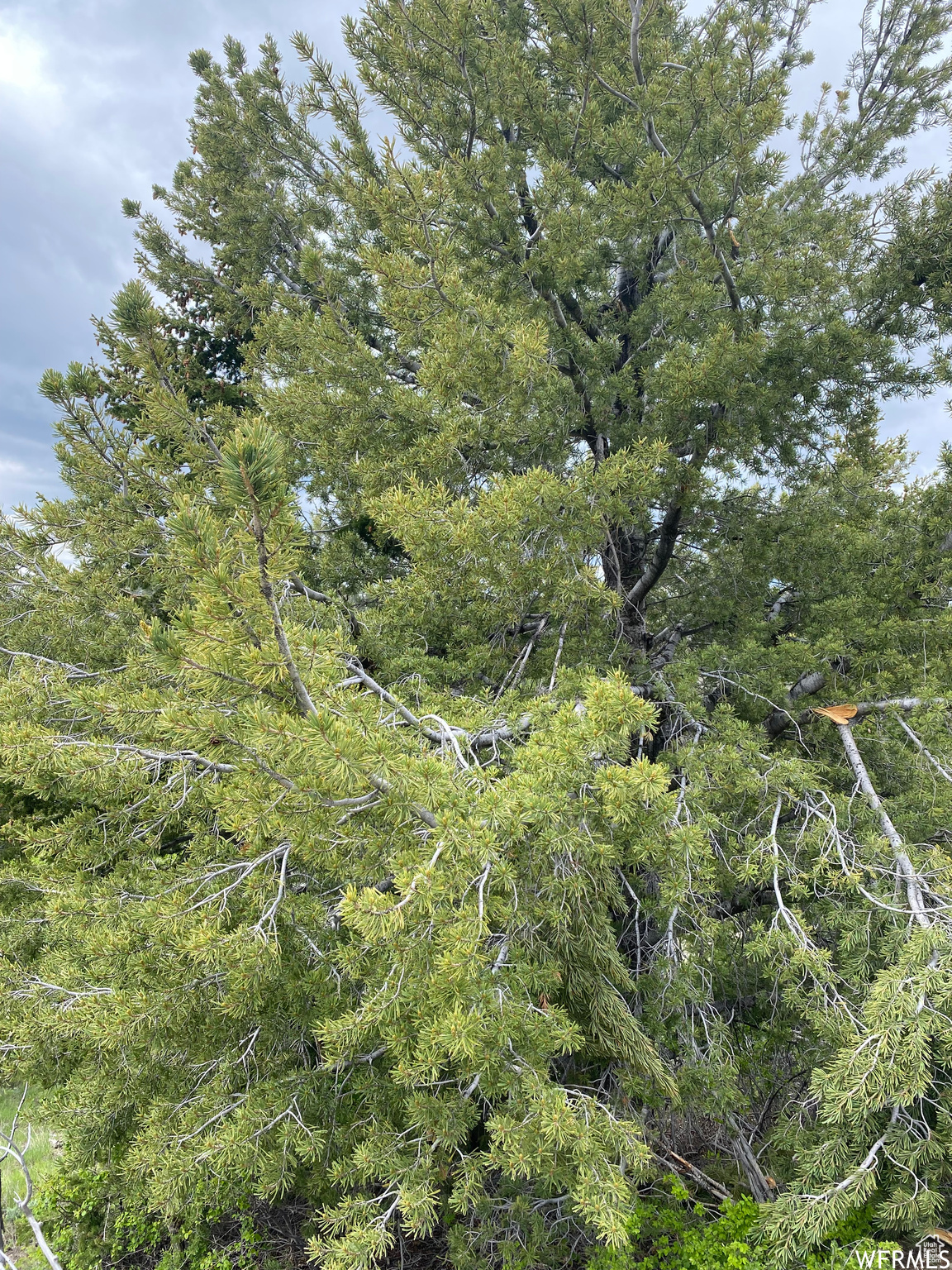 Land, Duchesne, Utah image 31