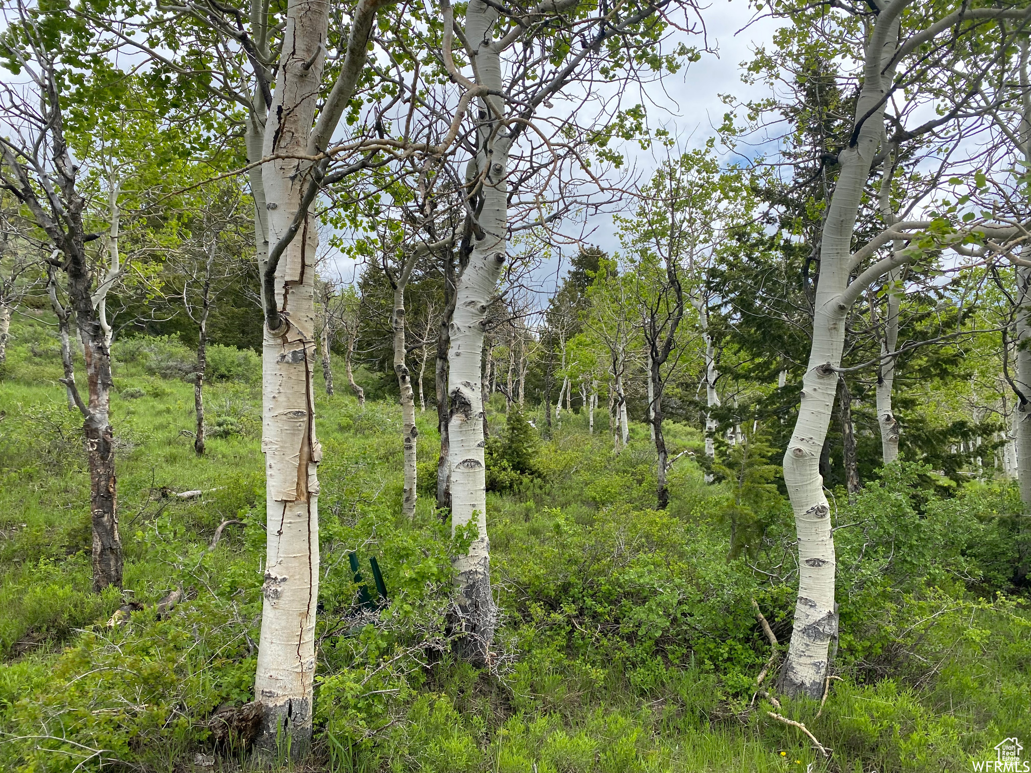 Land, Duchesne, Utah image 34