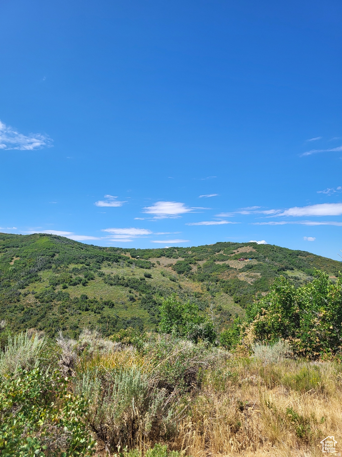ECHO CREEK RANCH - Land