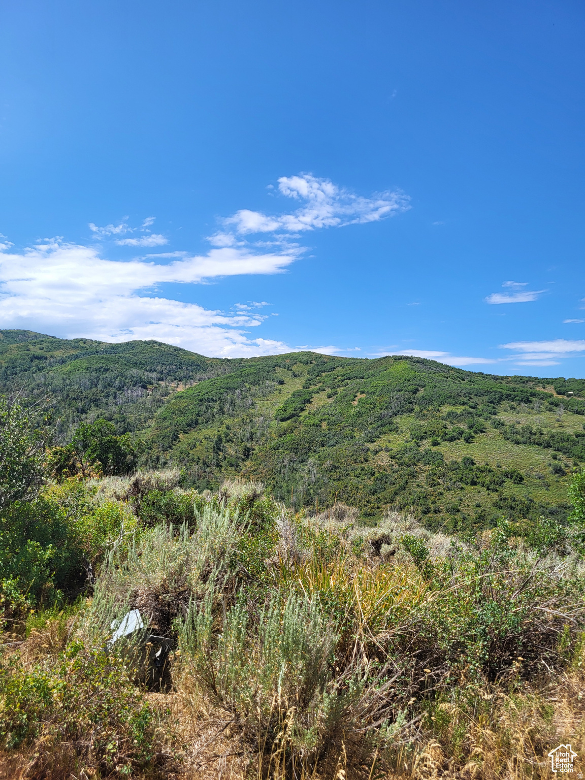 ECHO CREEK RANCH - Land