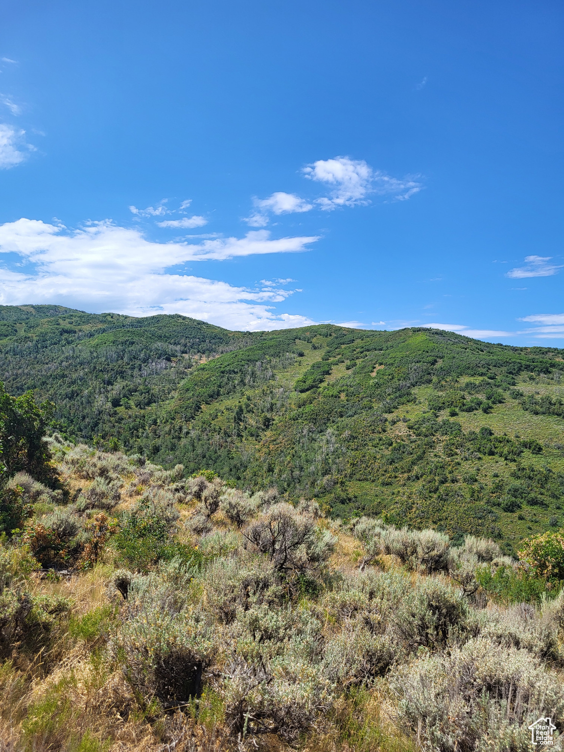 ECHO CREEK RANCH - Land