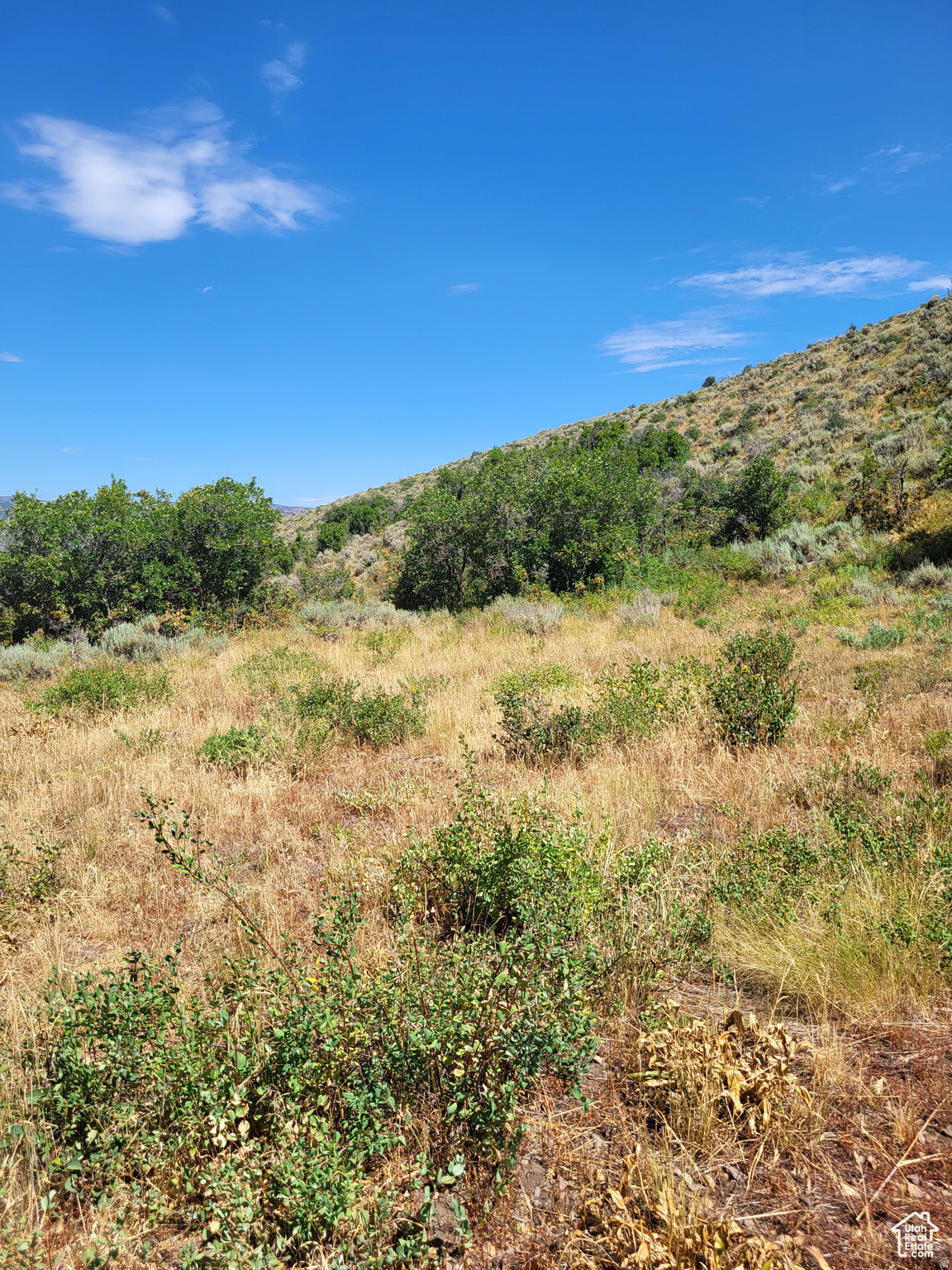 ECHO CREEK RANCH - Land